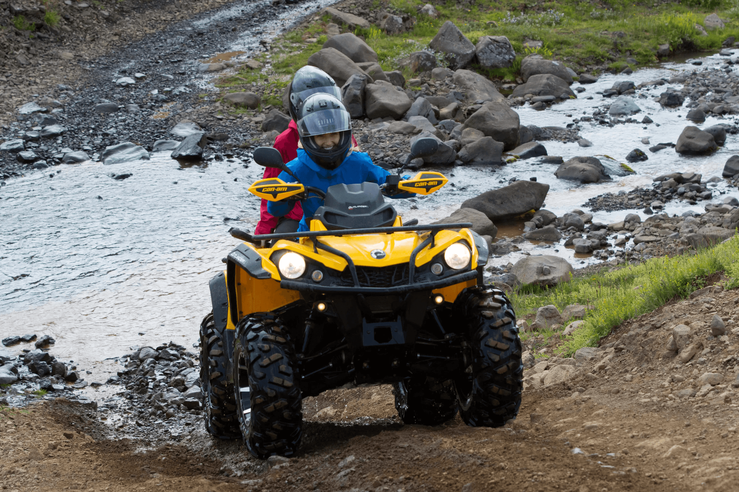 Reykjavík Whales & ATV - photo 4