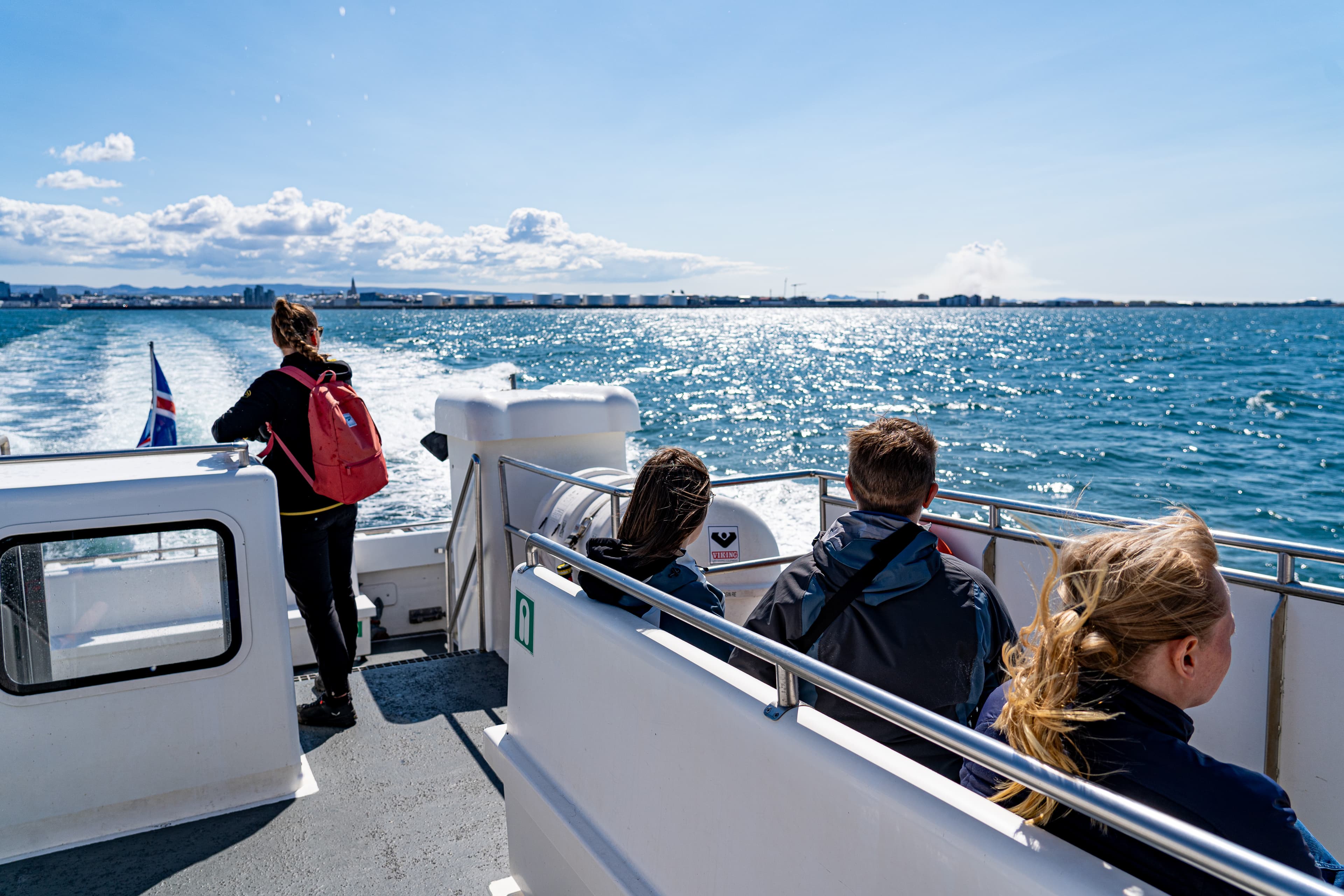 Best Value Whale Watching tour from Reykjavik - photo 10