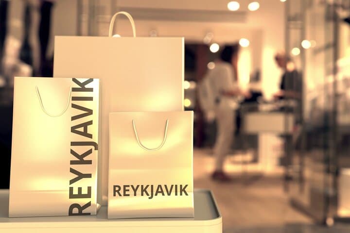 Private Reykjavik Walking Tour - 3 hours - photo 3