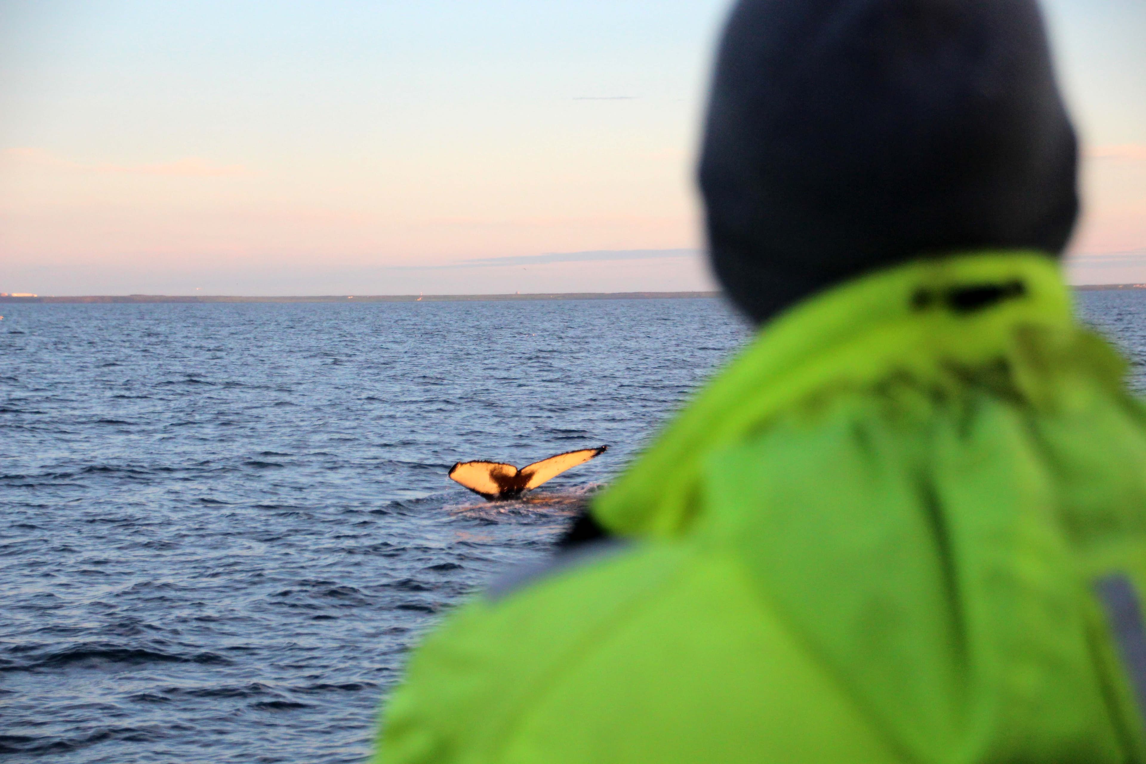 Midnight Sun Tour - photo 5