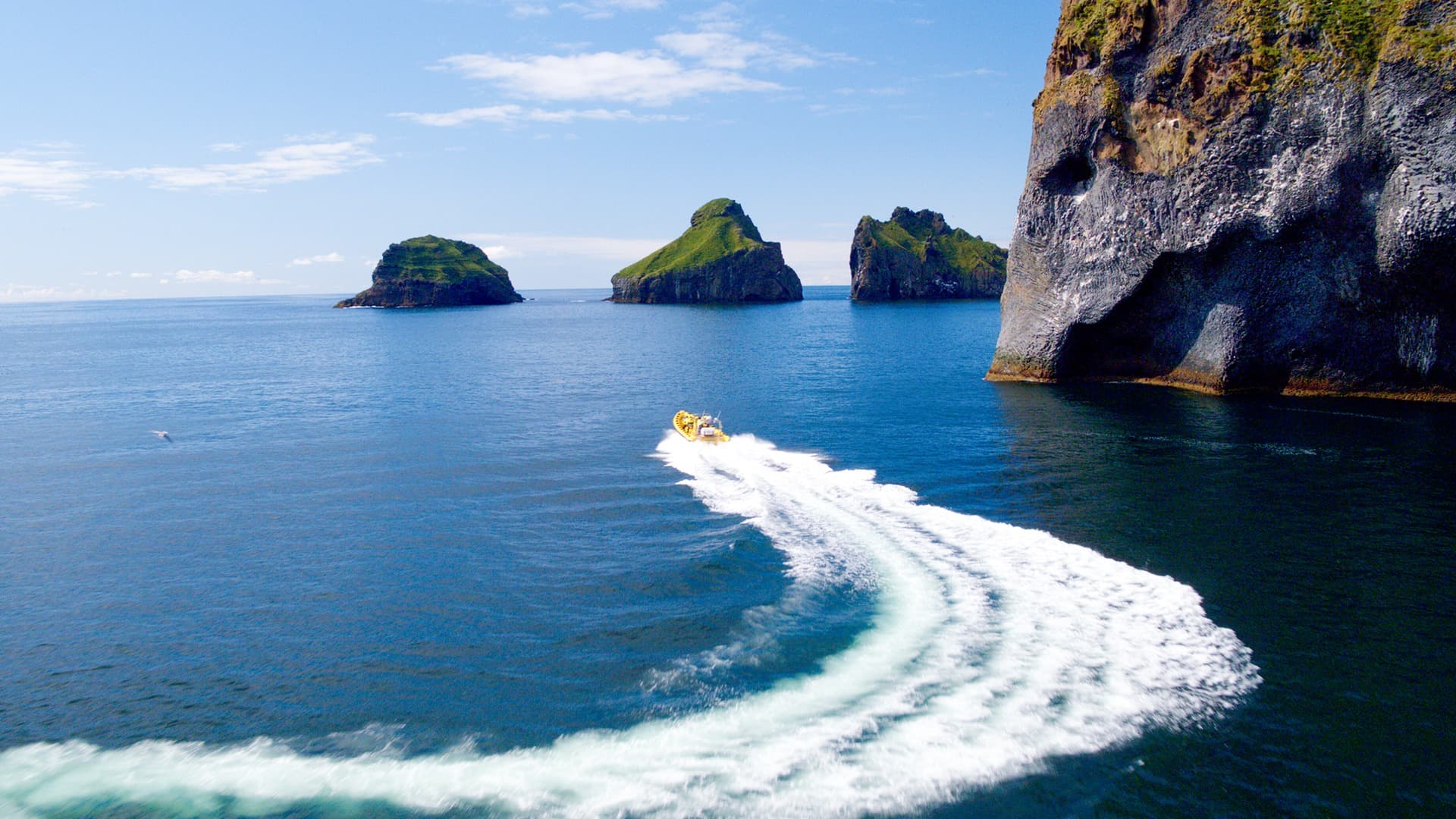 Private tour to Westman Islands with waterfall visit - photo 2