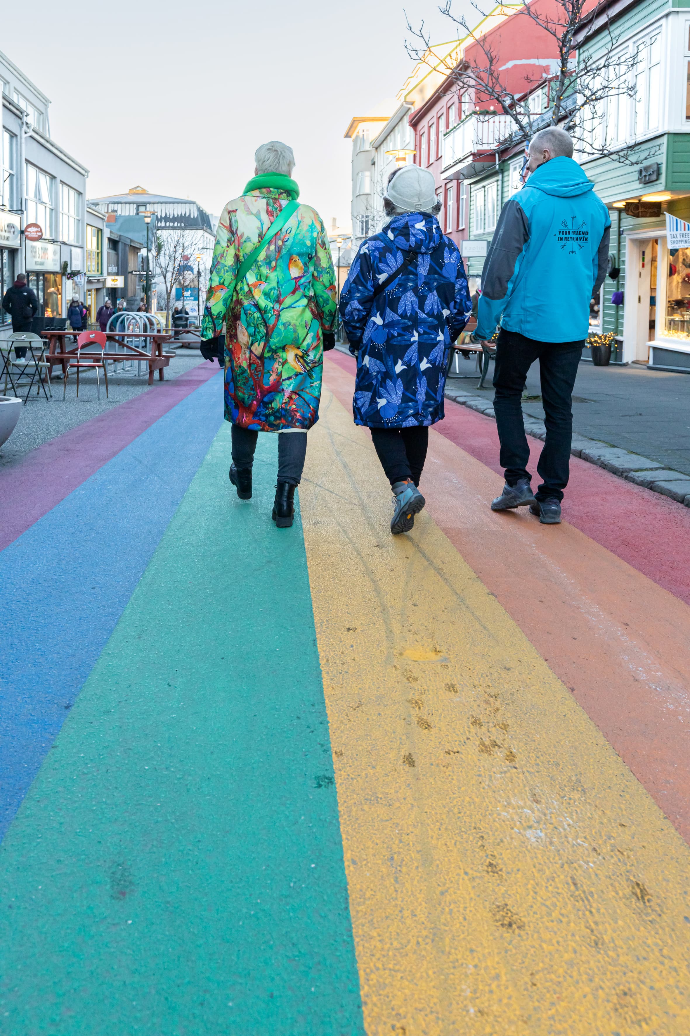 Private Reykjavik Walking Tour - 3 hours - photo 7