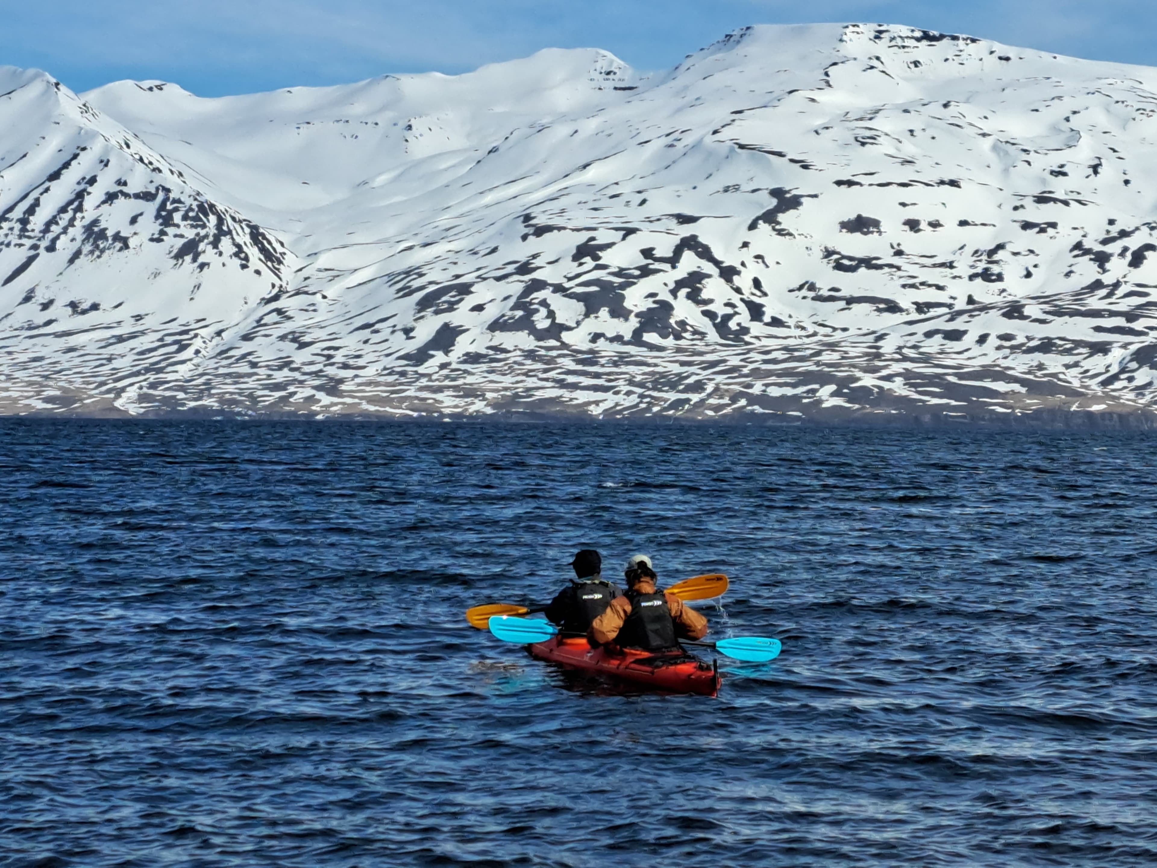 Guided Kayak Tour in Árskógssandur: Explore Coastline & Wildlife - photo 3