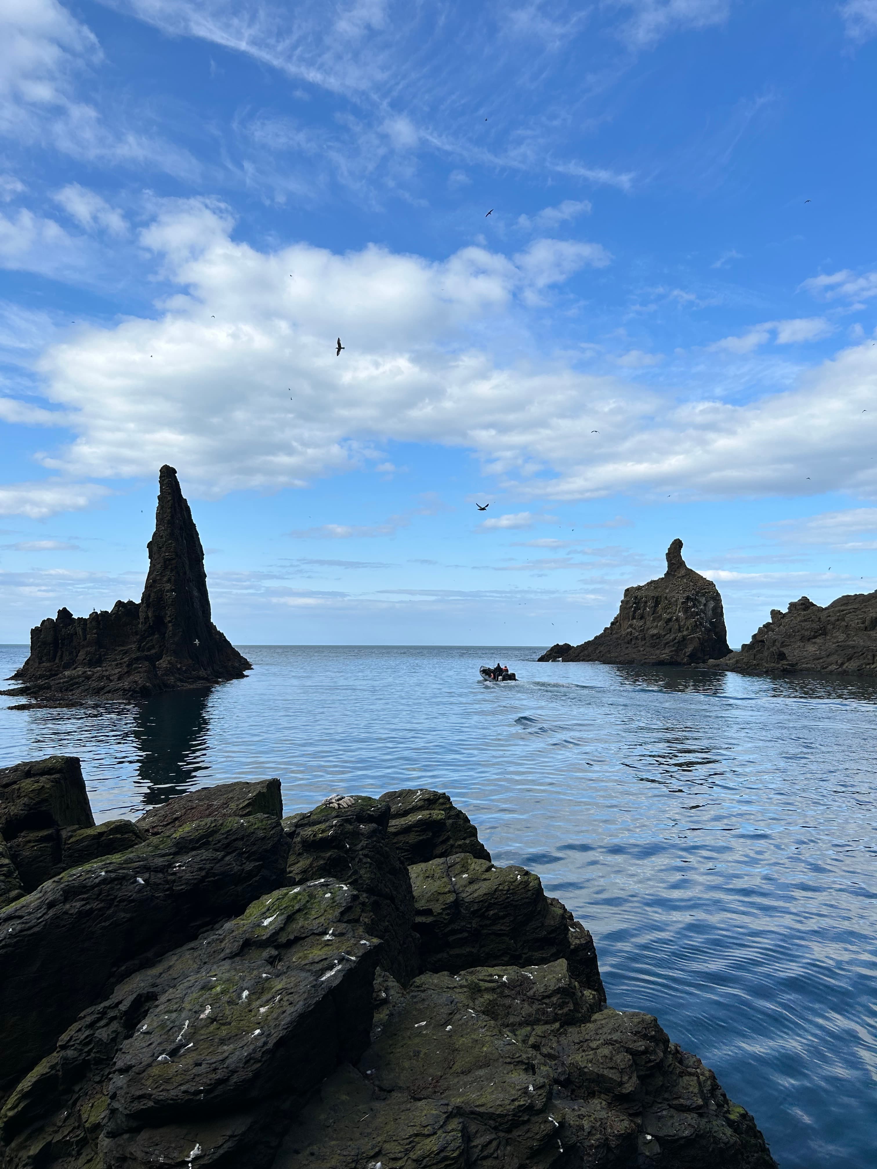 Puffin Quest - photo 22