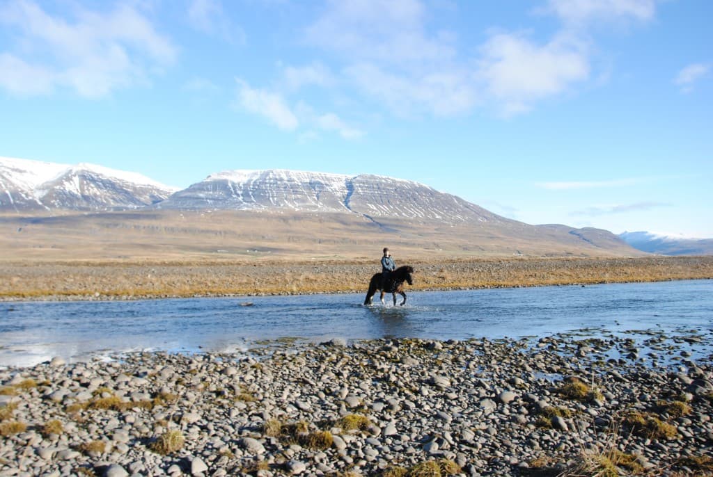 River Delta - photo 5