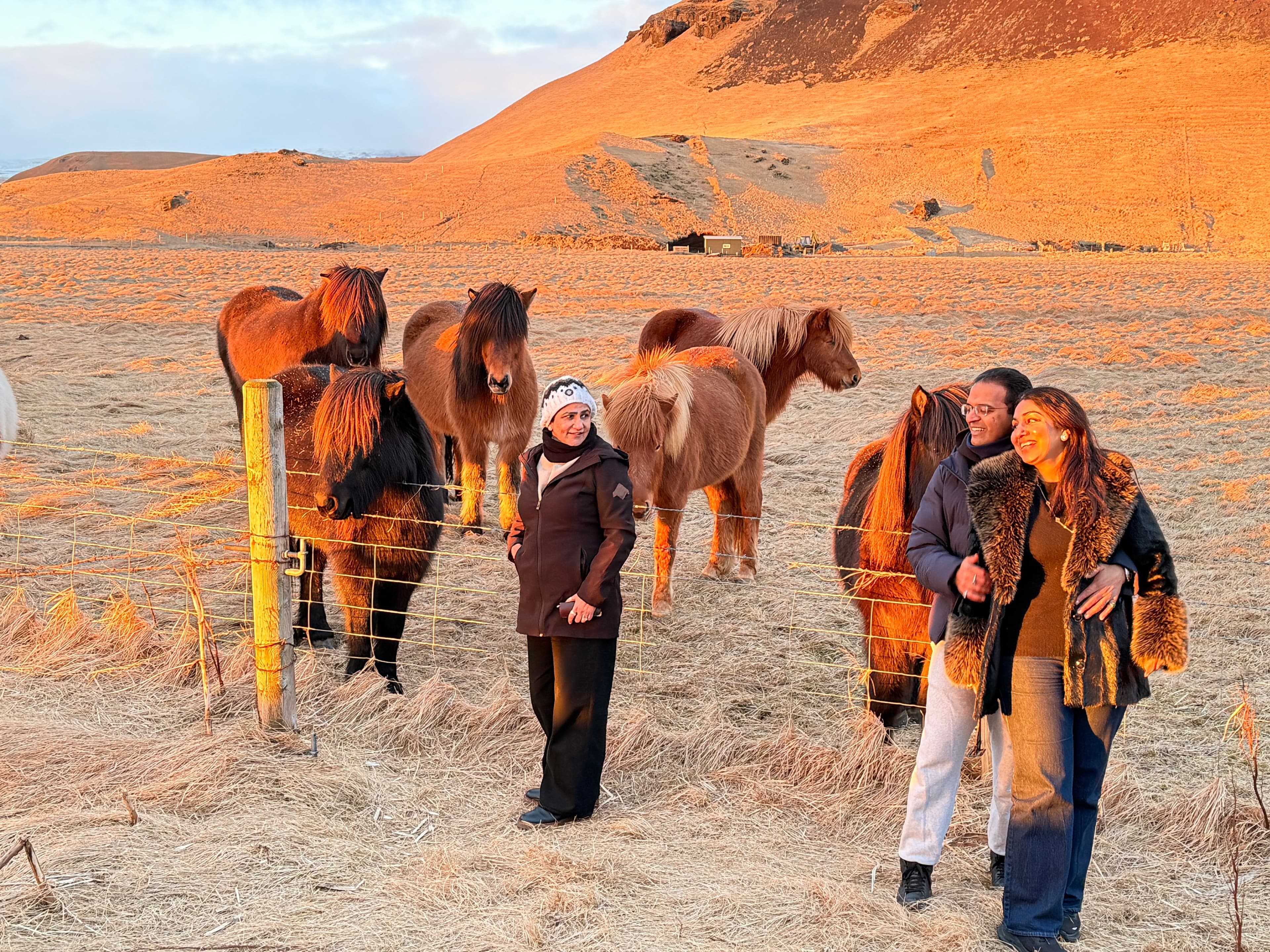 Private South Coast Tour and Viking Story Night with Icelandic Tasting - photo 5