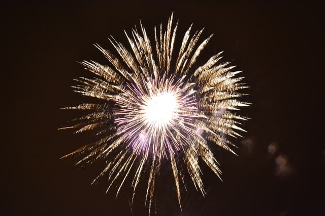 New Year's Eve Yacht Cruise - photo 8