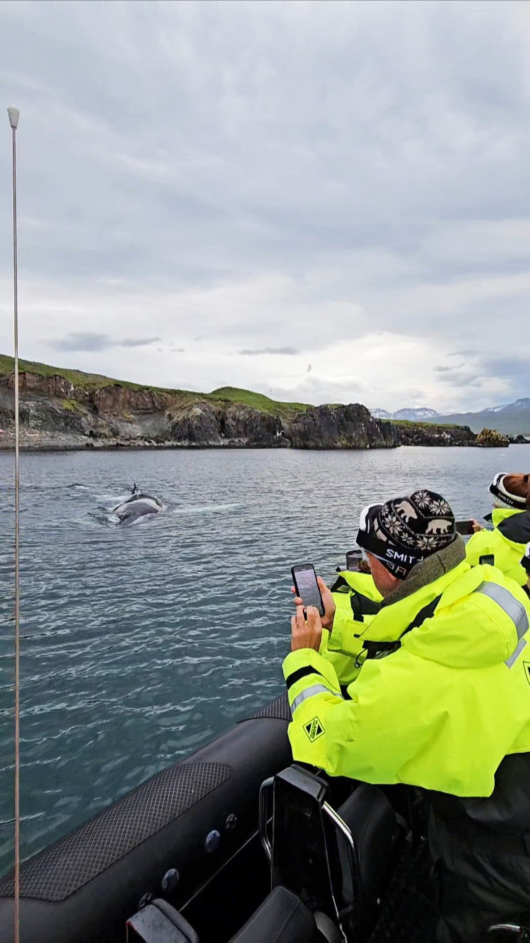 Puffin Quest - photo 12