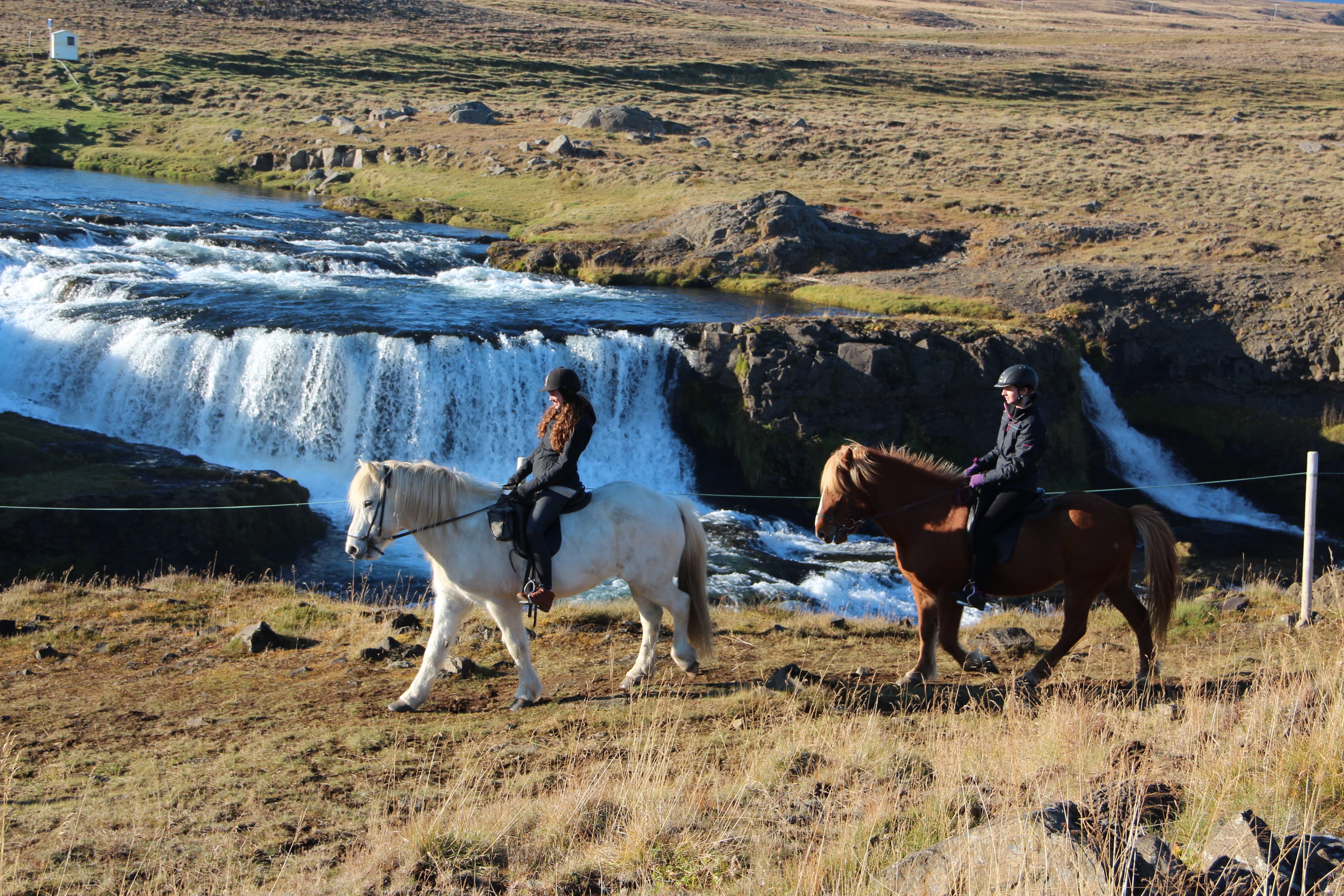 Chasing Waterfalls