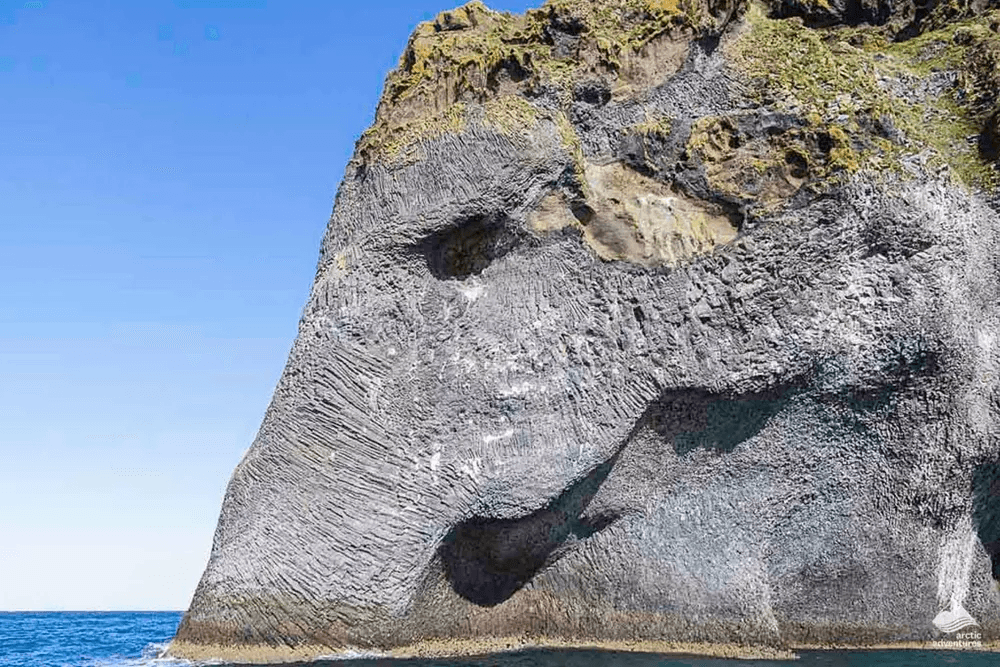 Vestmannaeyjar Day Tour - photo 3