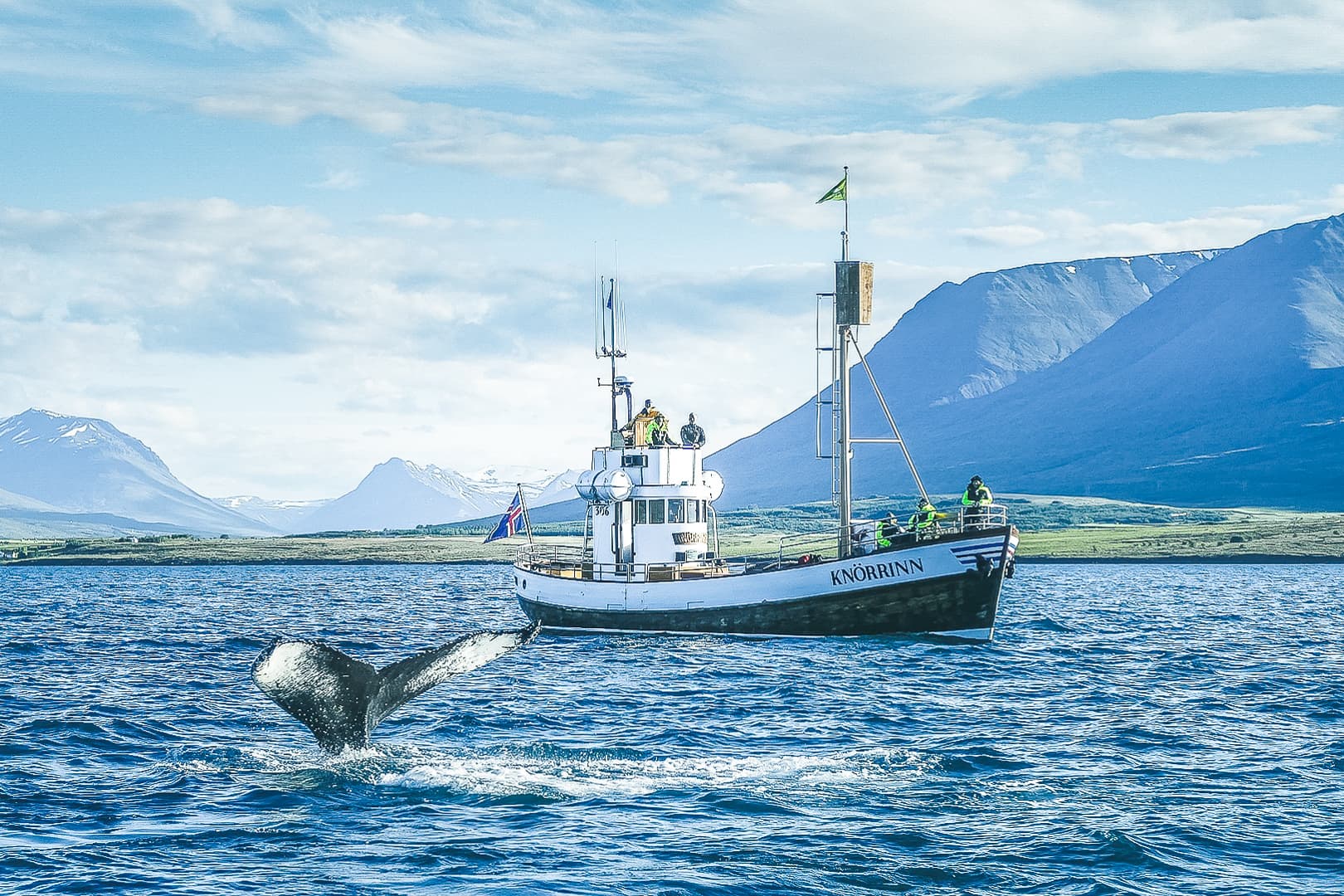Whale Watching Eyjafjörður: From Árskógssandur - photo 5