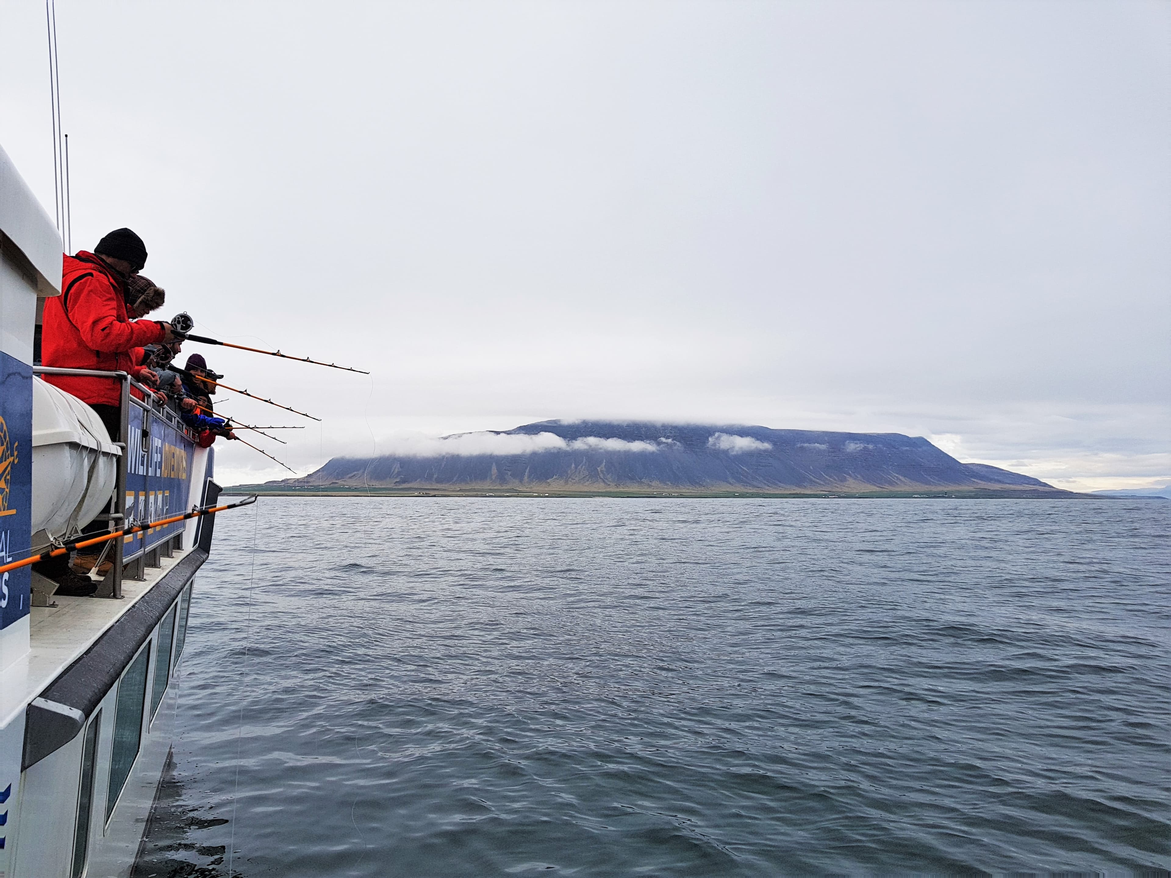 Whales & Sea Angling - photo 13