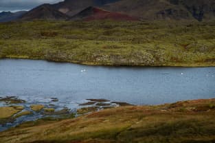Private Minivan Tour: Snæfellsnes wonders - photo 18