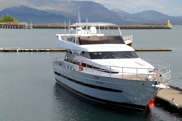 Whale Watching & Dolphin Yacht Cruise - photo 22