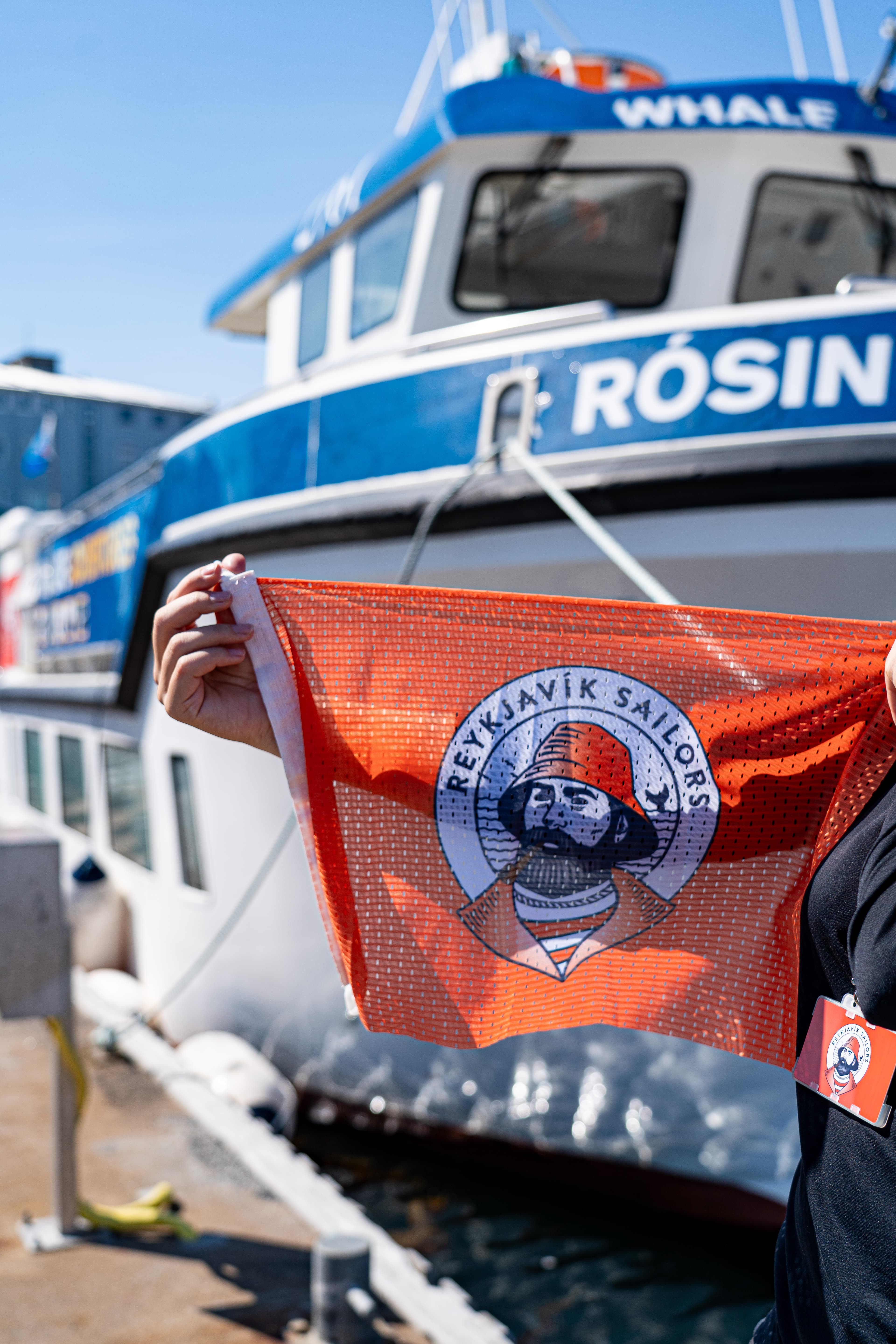 Best Value Whale Watching tour from Reykjavik - photo 12