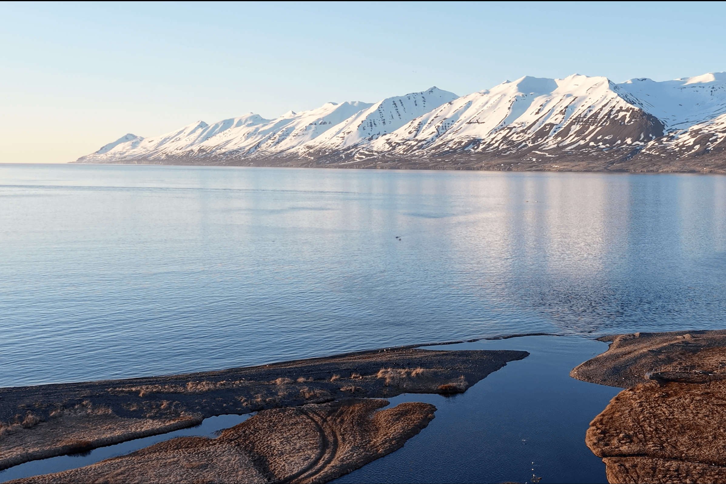 Guided Kayak Tour in Árskógssandur: Explore Coastline & Wildlife - photo 5