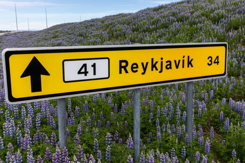 Keflavik Airport (KEF) to or from Reykjavik: Private Transfer by Sedan or Van - photo 8