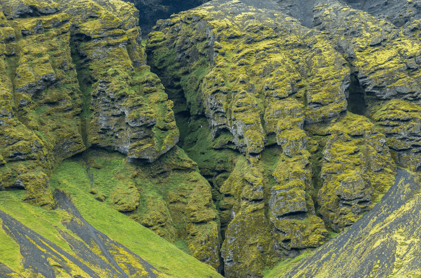 Snaefellsnes Private Tour At Iceland’s West Coast of Wonders - photo 21