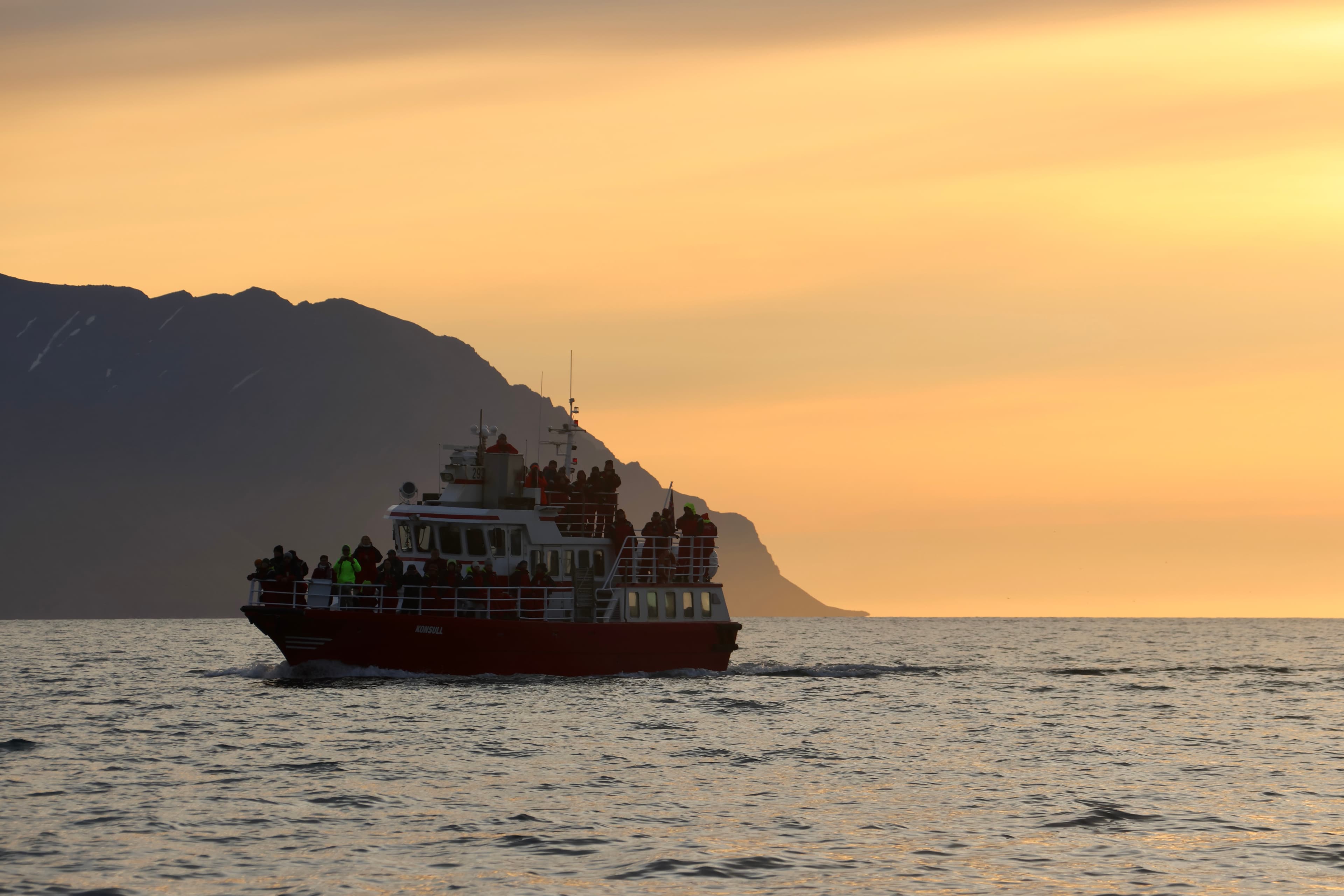 Akureyri Classic Whales in the Midnight Sun - photo 15