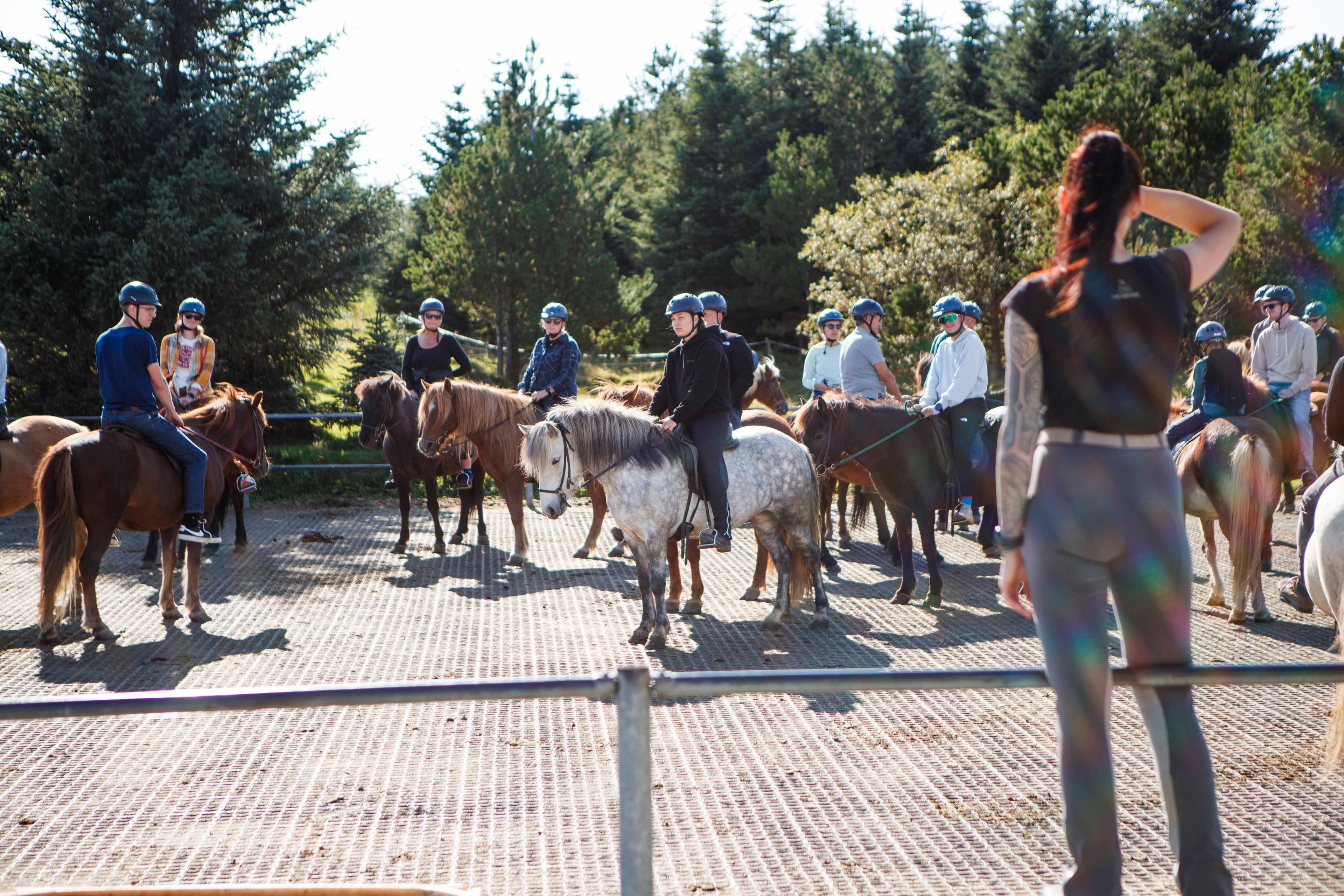 Lava Tour - Horseback Riding through the Lava Fields - photo 31