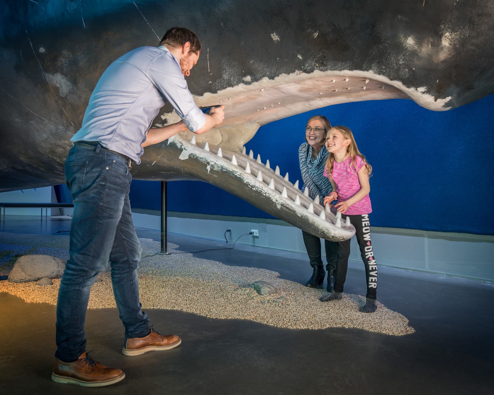 Whale Watching & Whales of Iceland Museum - photo 4