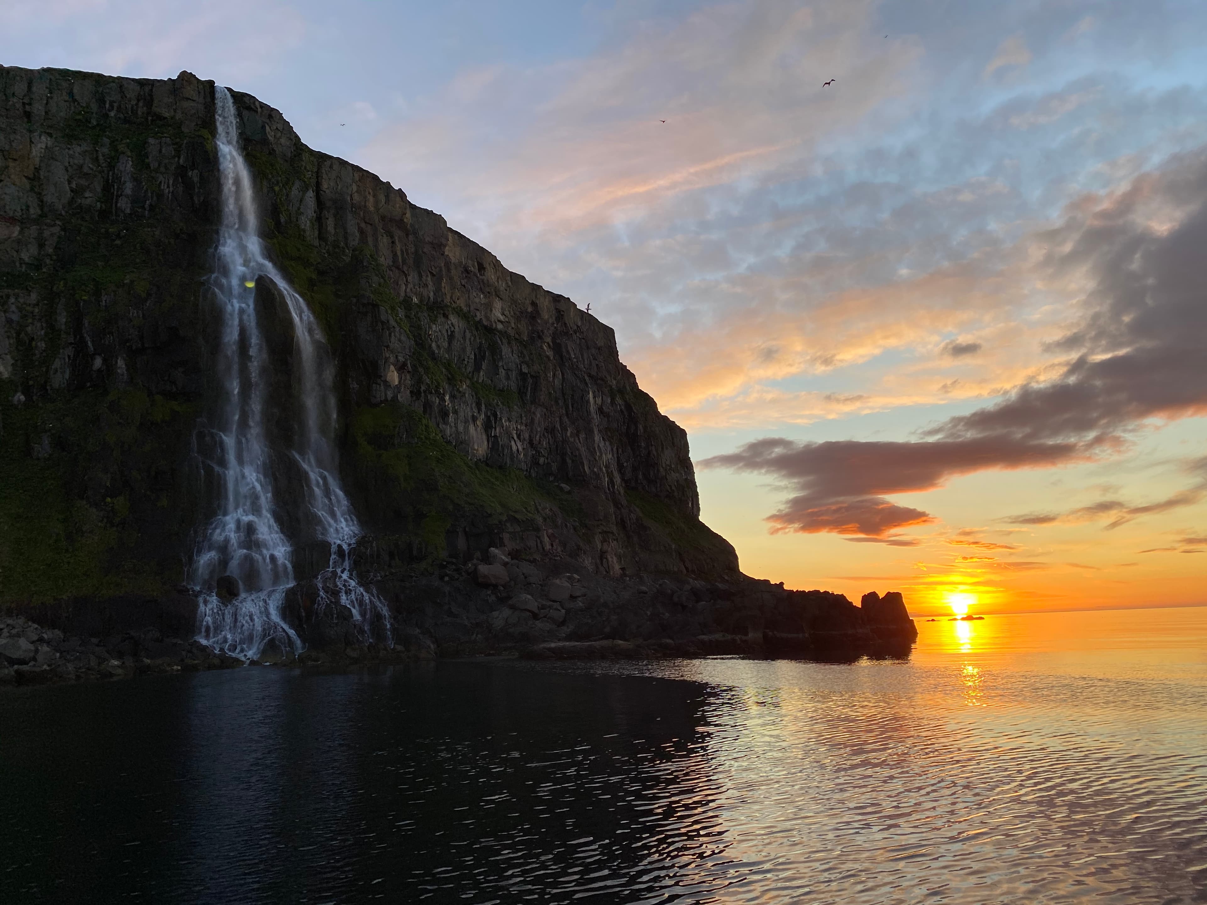 Midnight Sun Whale Watching - photo 3