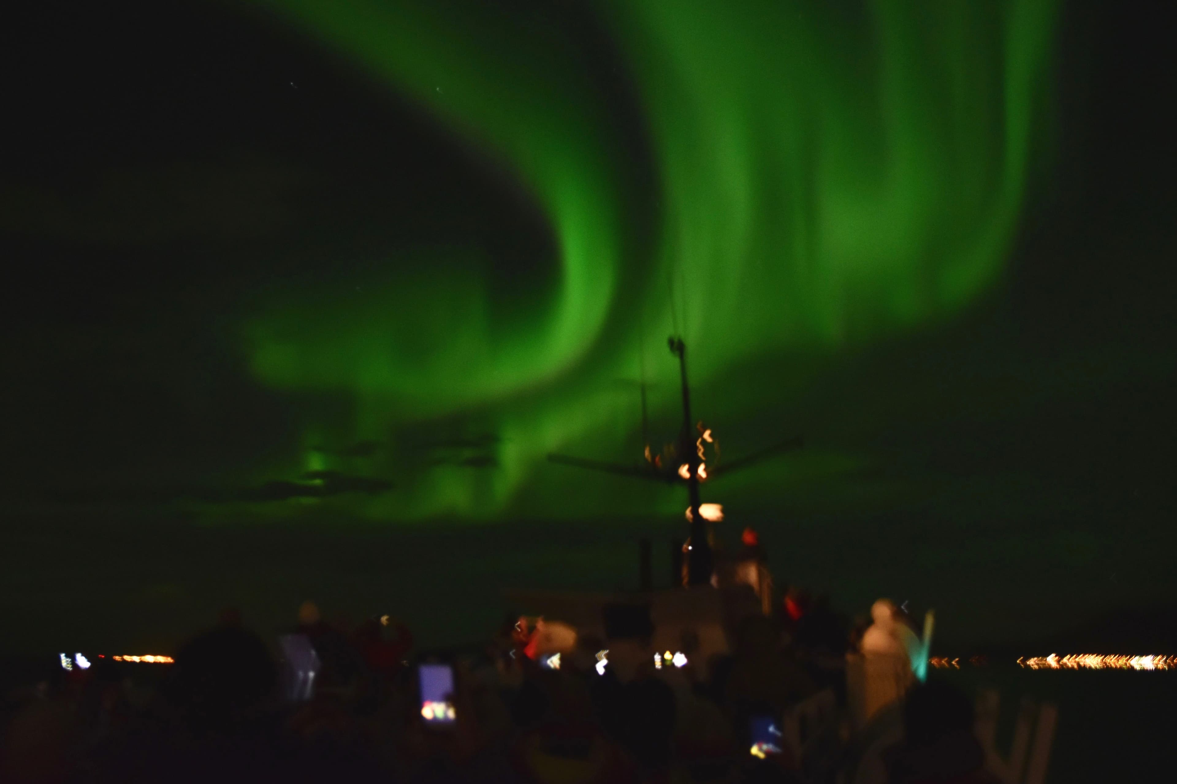 Reykjavík Whales & Northern Lights - photo 9