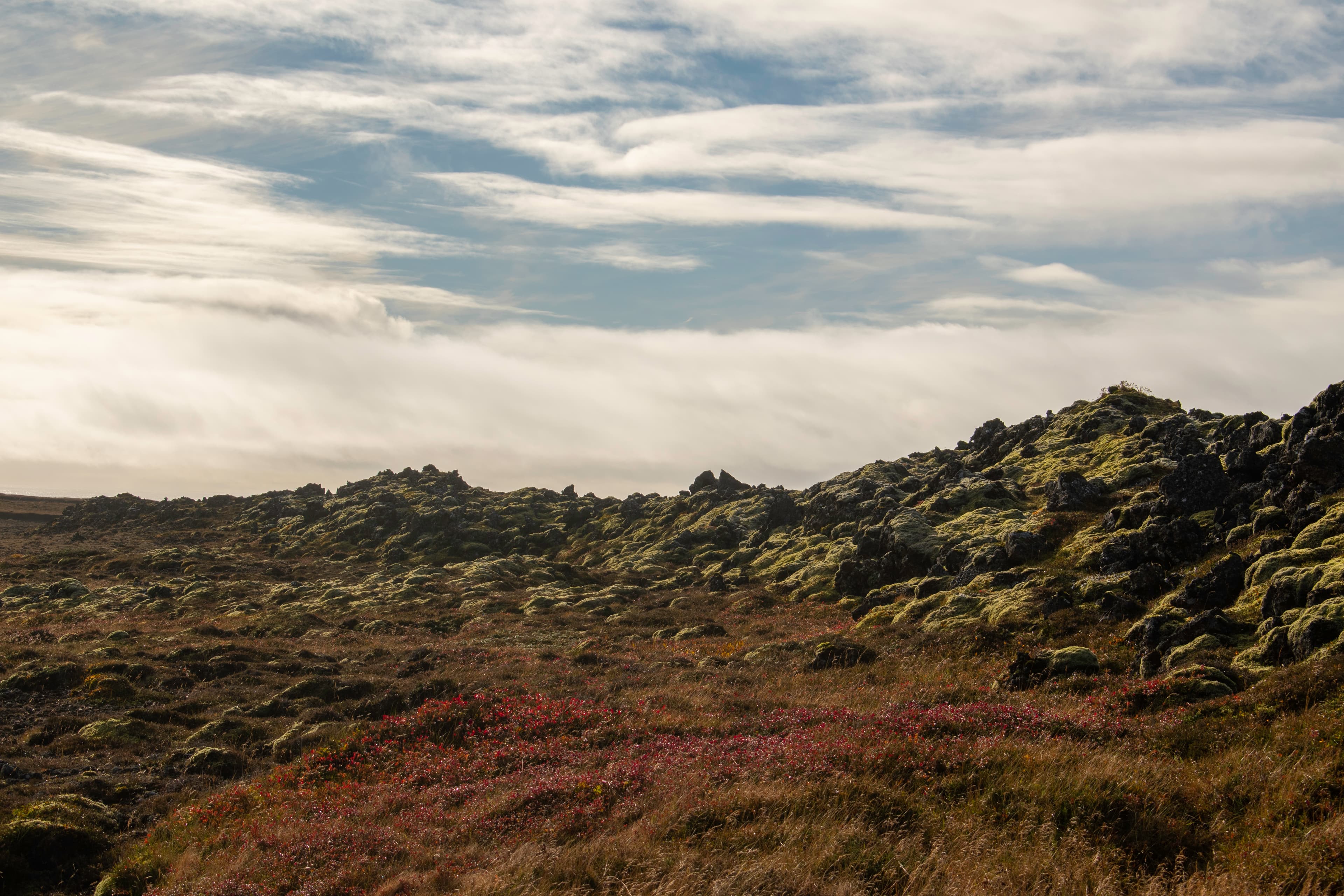 Private Minivan tour: Colours of Reykjanes - photo 4