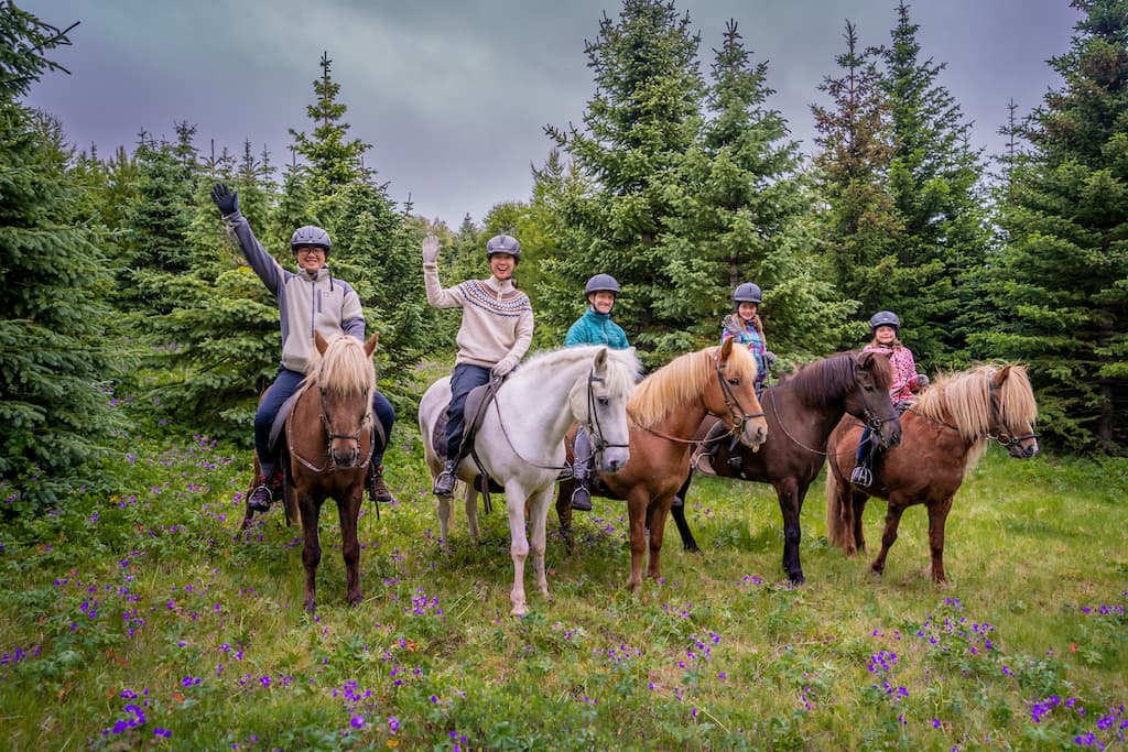 Viking Horses Morning Tour - photo 9