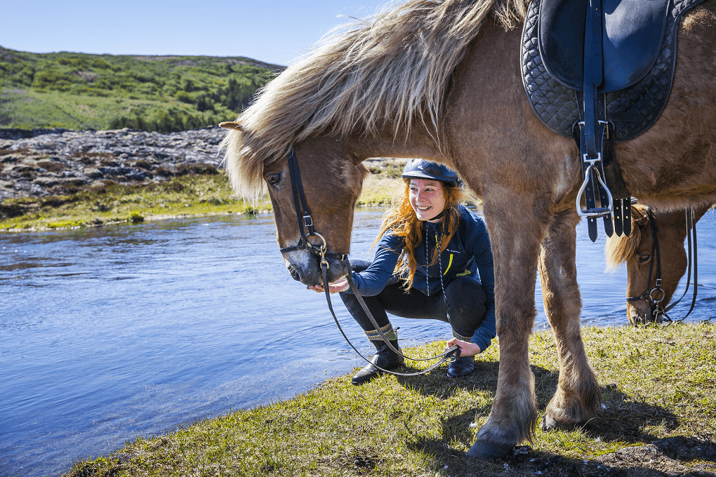 Horse Riding & Caving From Reykjavík - photo 9
