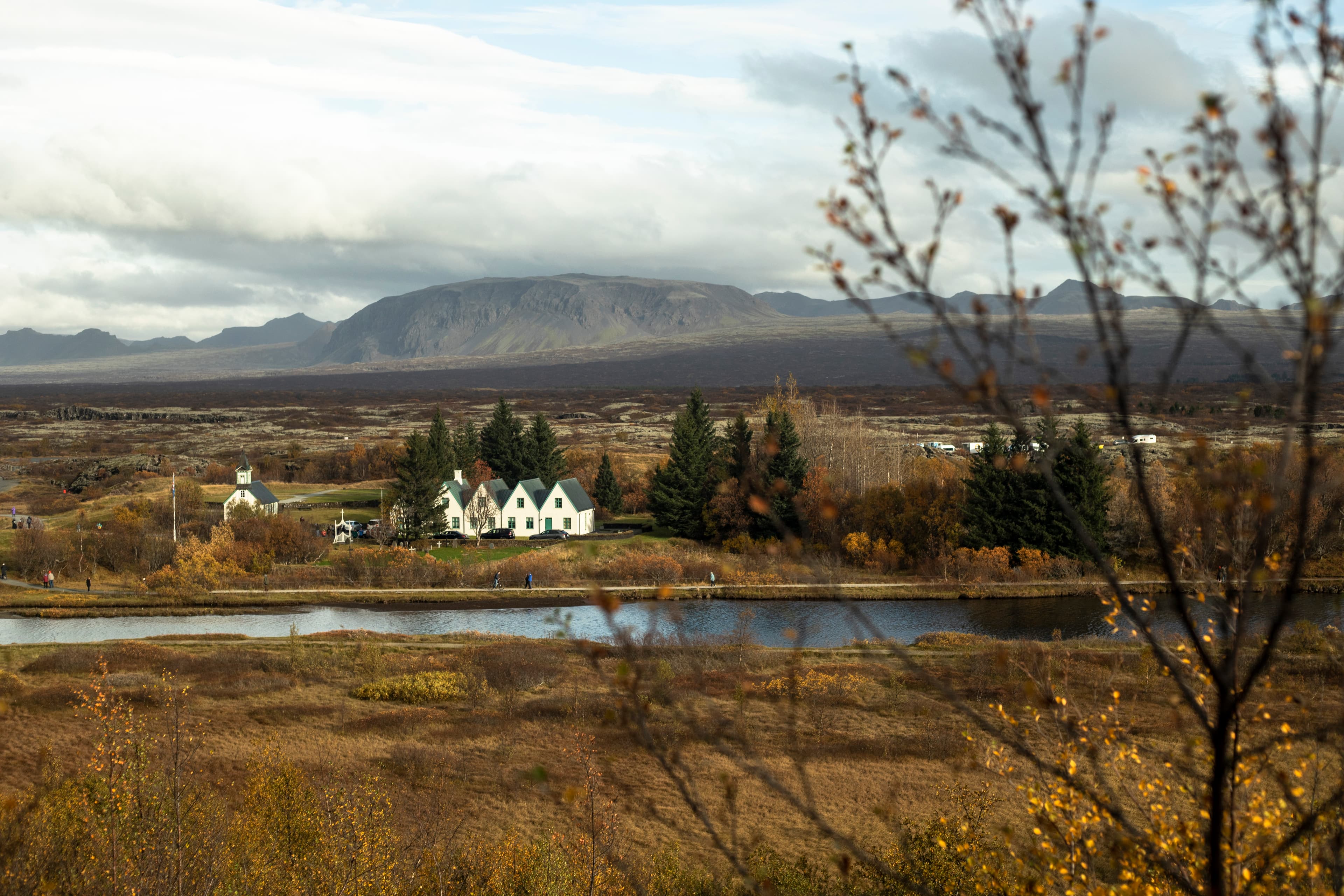 Golden Circle Small Group Tour with Friðheimar Farm Visit - photo 15