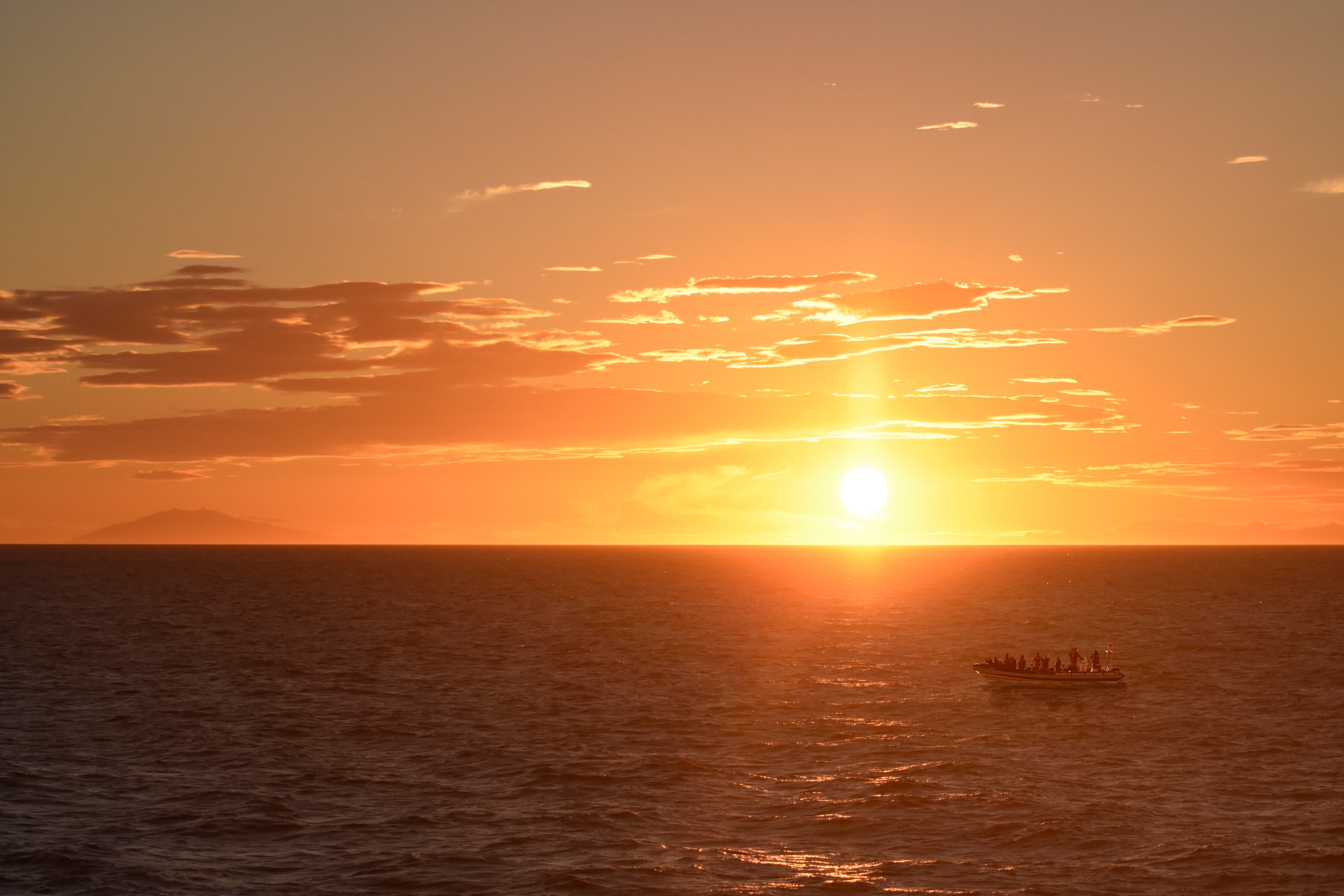 Premium Whales & Midnight Sun - photo 2