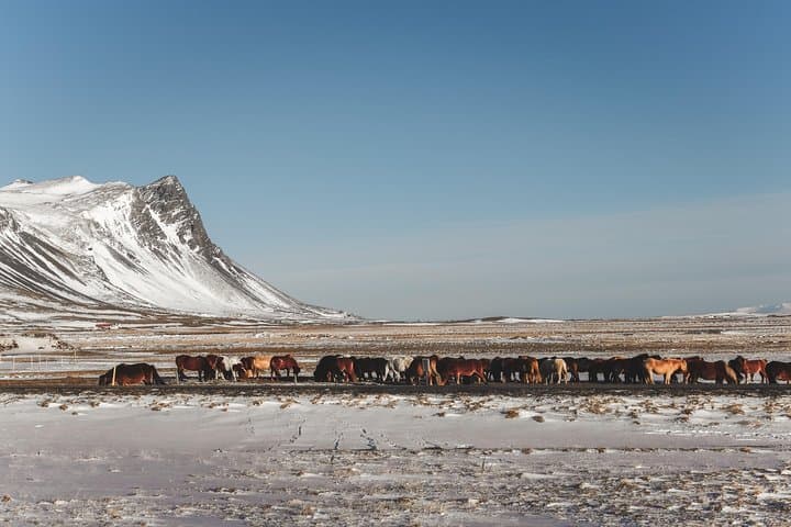 Snæfellsnes Peninsula in a small group tour with home-cooked meal included - photo 12