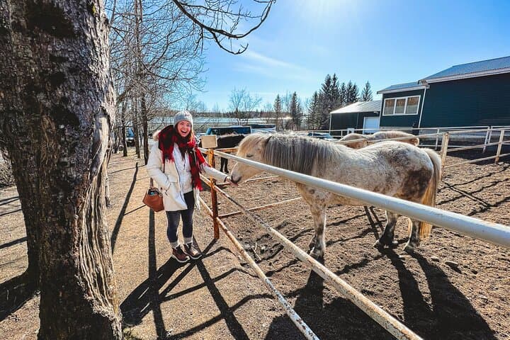 Golden Circle and Lunch at Fridheimar Tomato Farm - with photos - photo 10