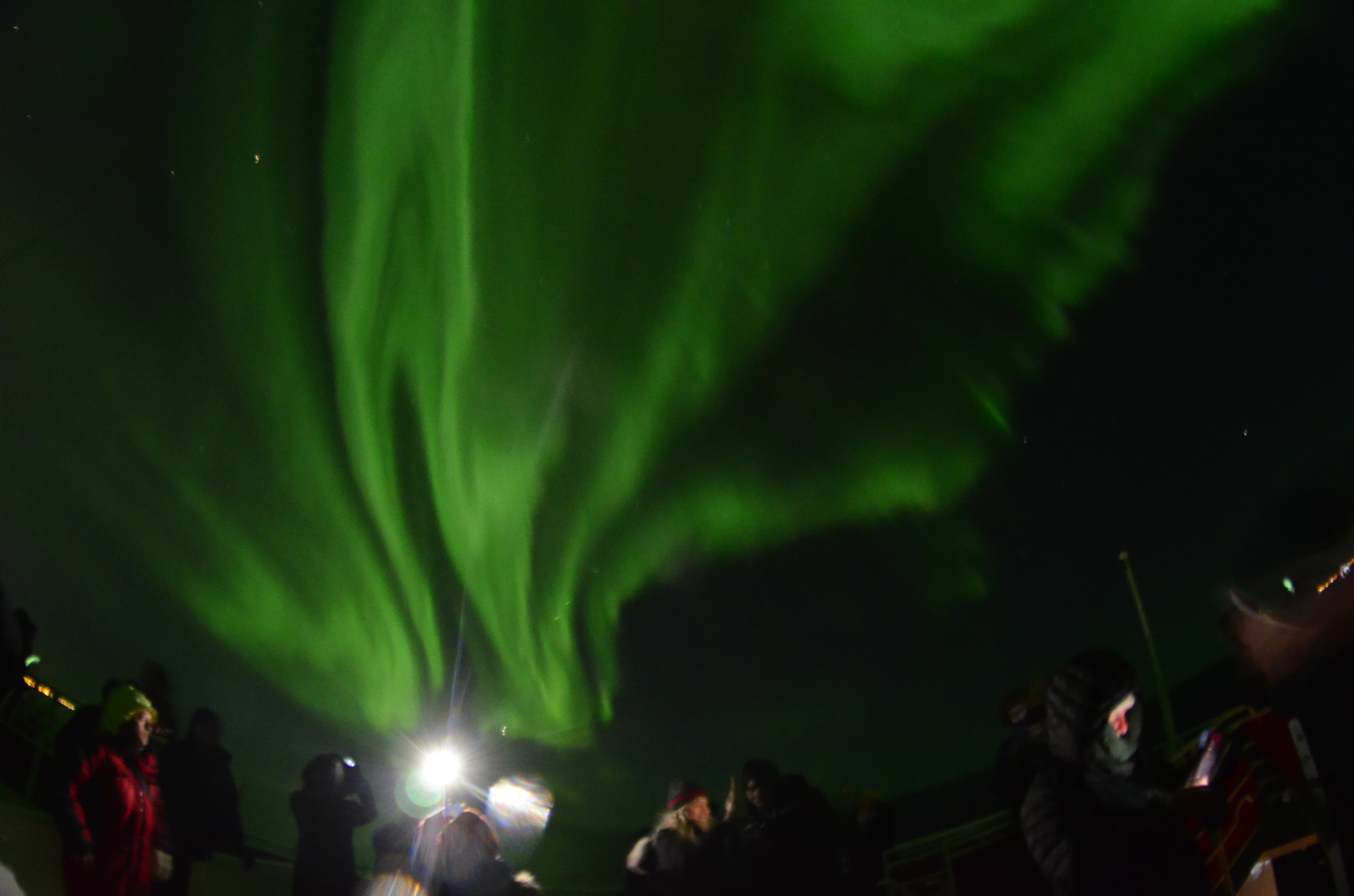 Northern Lights Cruise & The Reykjavík Food Walk - photo 5