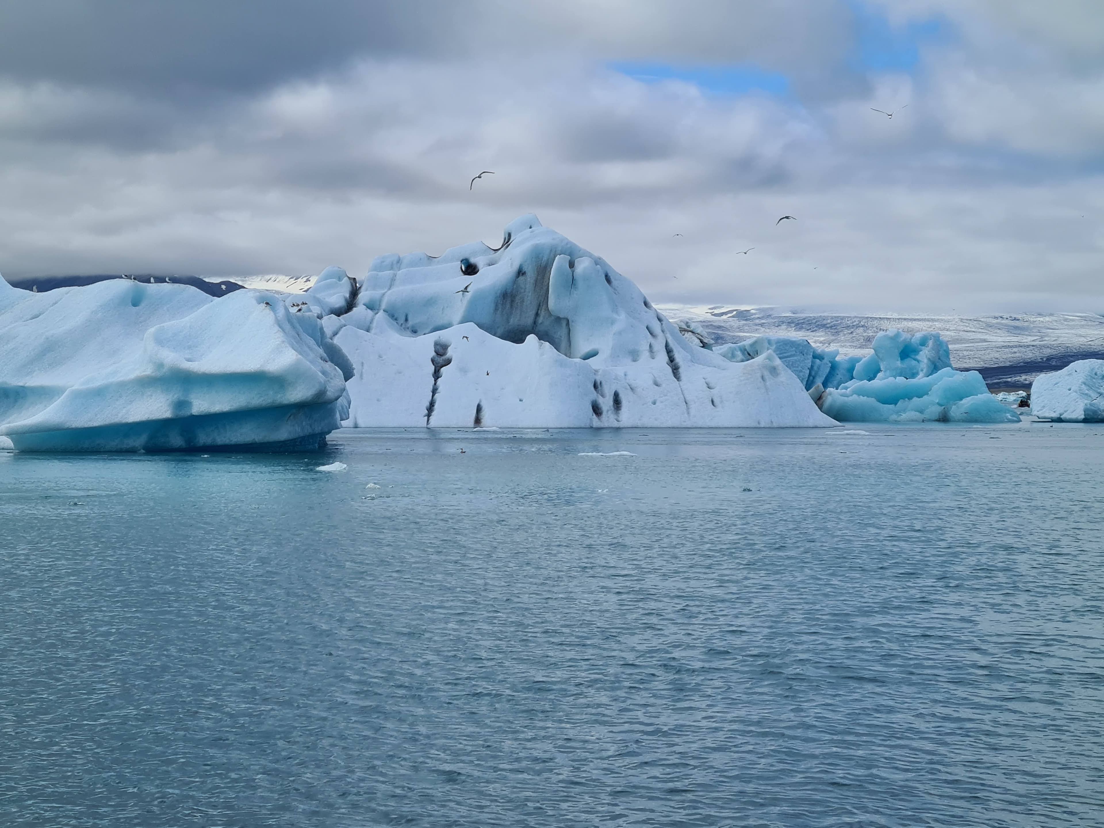 Jökulsárlón & Diamond Beach – A Tailored Private South Coast Experience for Families - photo 7