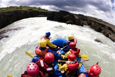 Whales & White Water Rafting