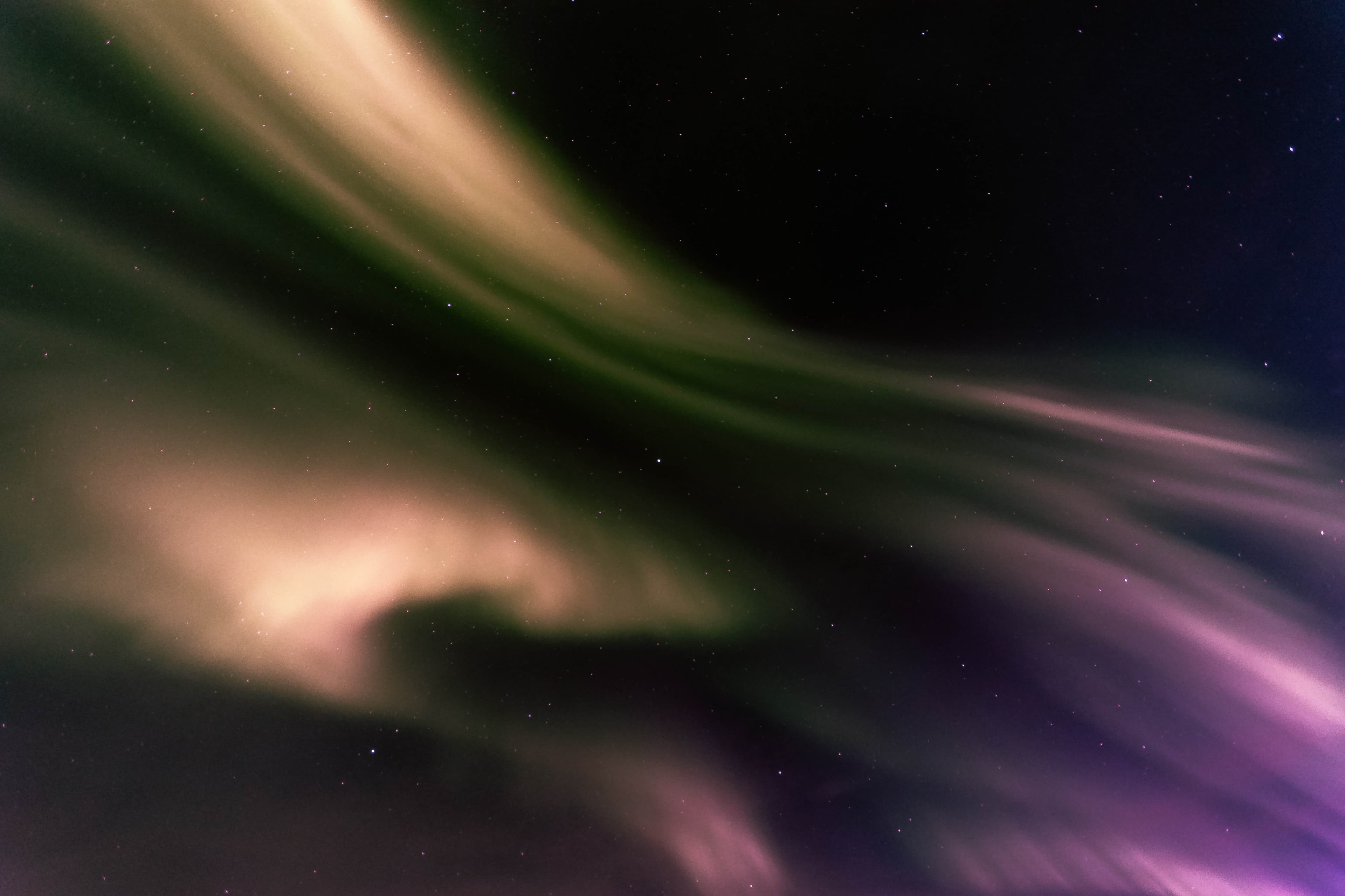 Private Northern Lights Hunt: Minivan - photo 15