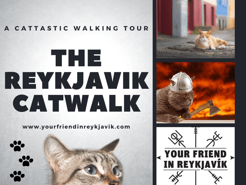 The Reykjavik CatWalk - photo 11