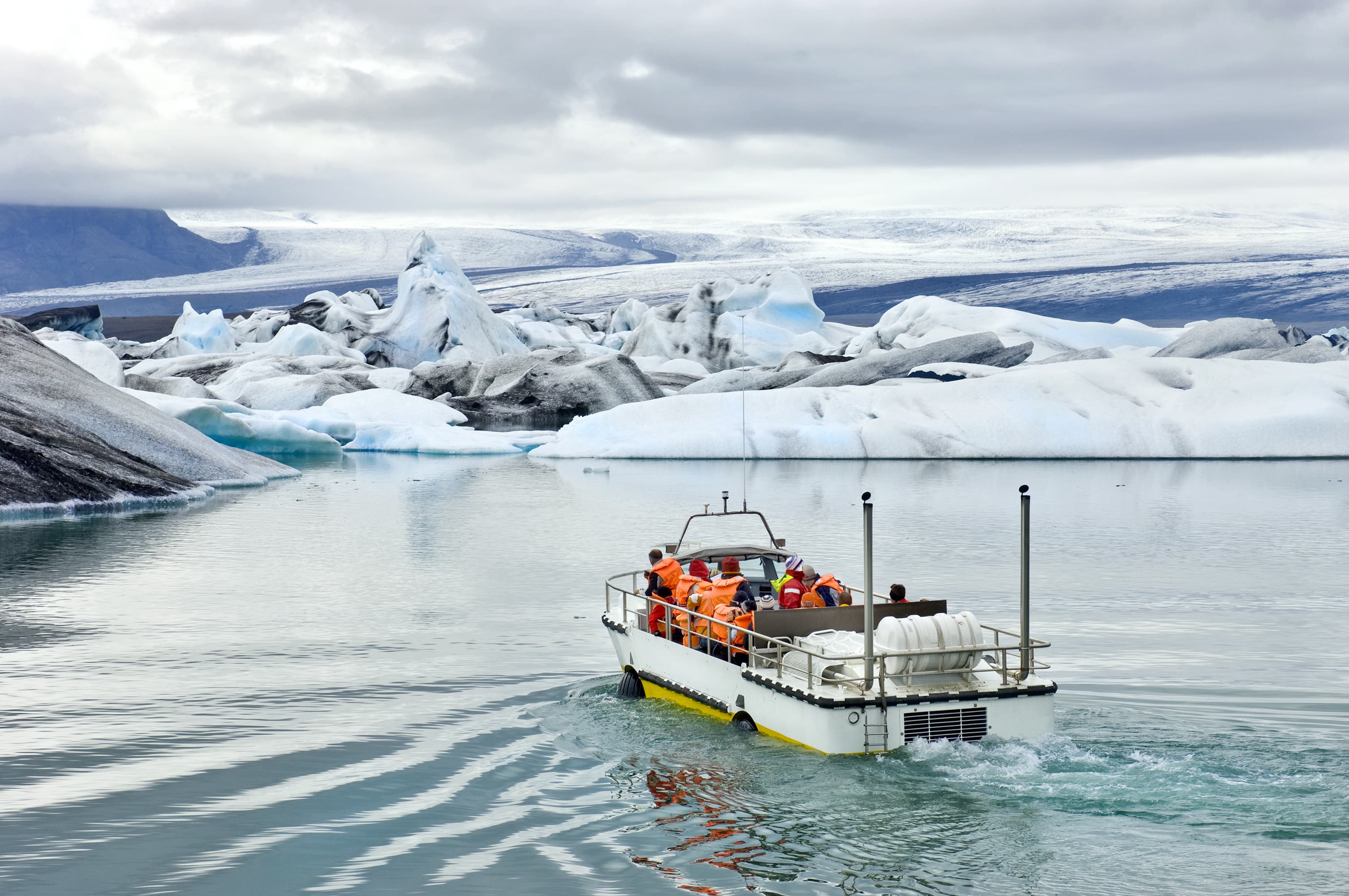 Private Bespoke Glacier Lagoon Tour - photo 5