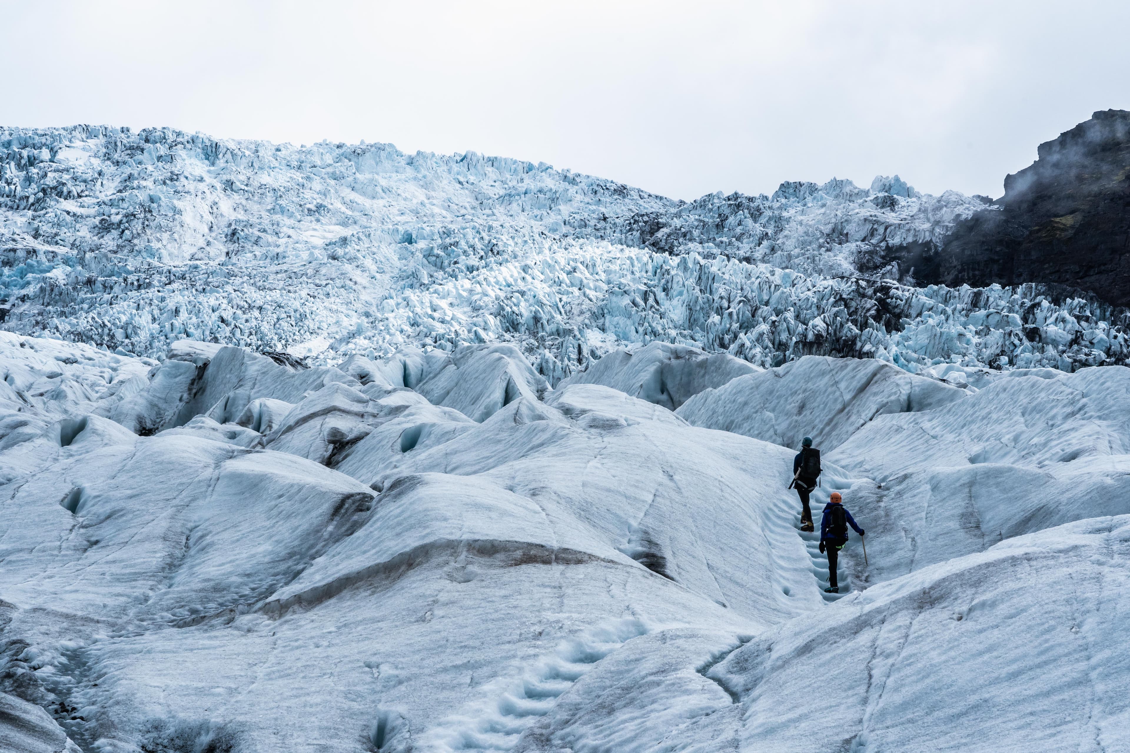 Glacier Encounter  - photo 2