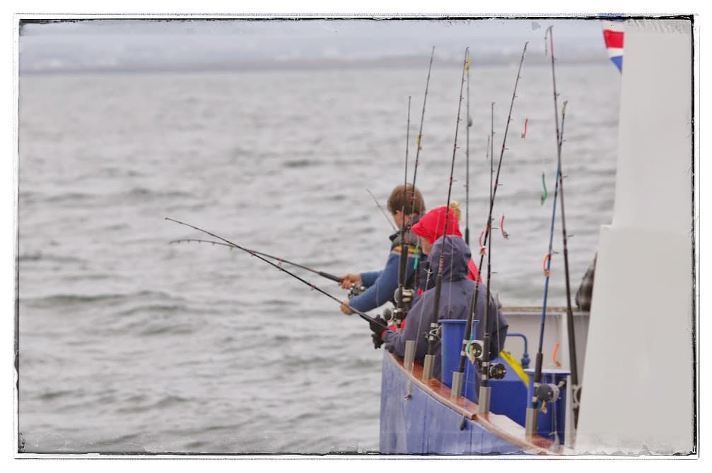 Sunset Fishing in Faxaflói Bay: 2.5-3 Hour Excursion - photo 2