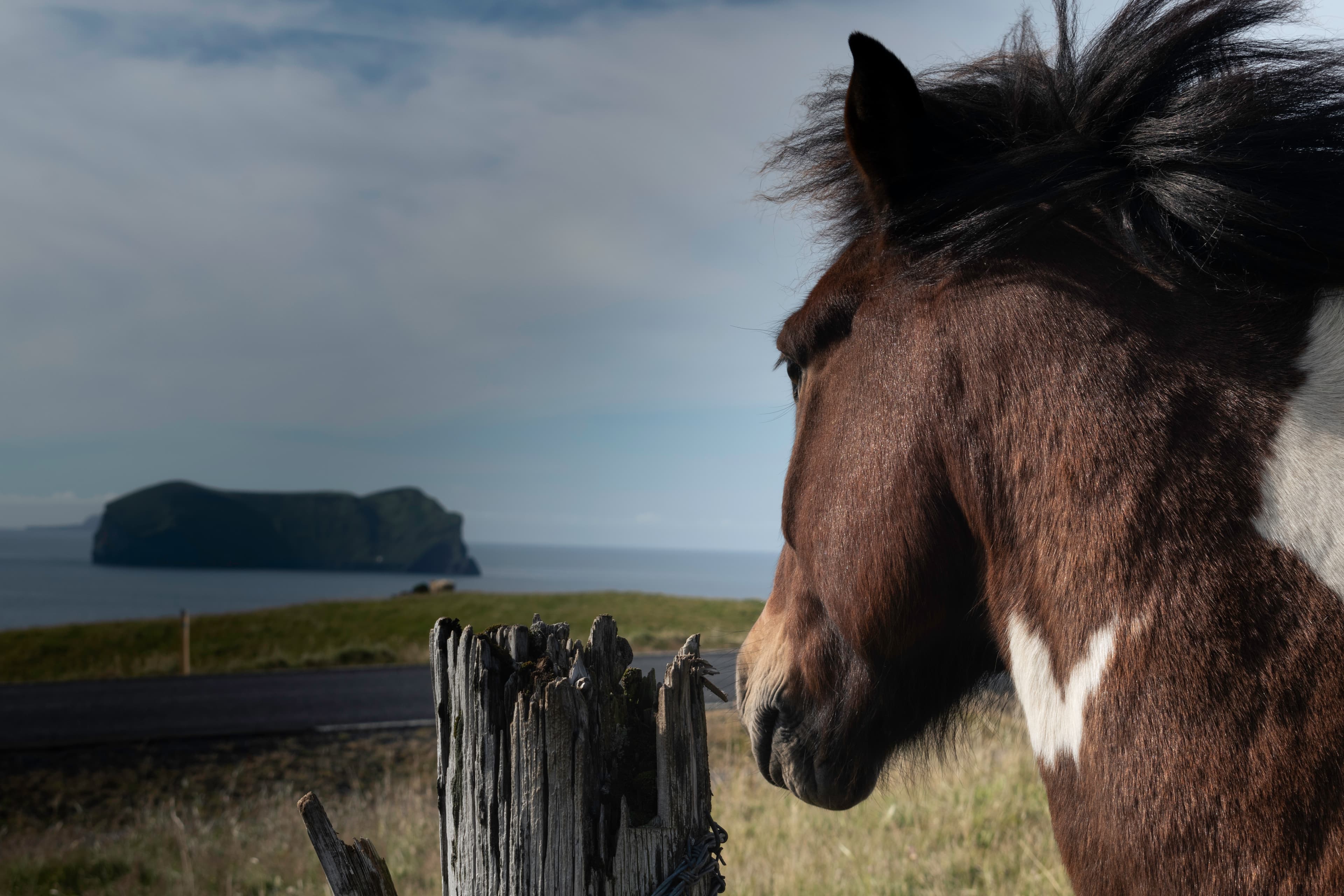 Private Minivan tour to the Westman Islands: History and Natural Wonders - photo 4