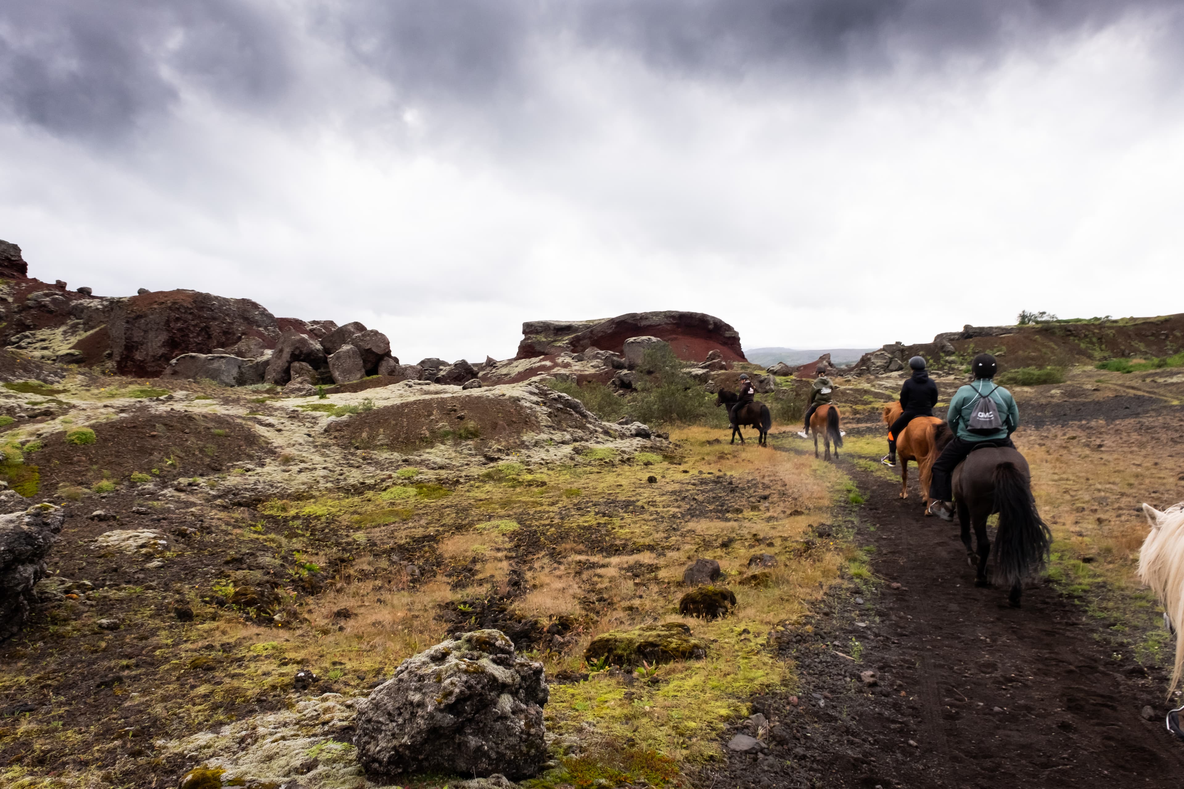 Red Lava Horse Riding Tour - Reykjavík