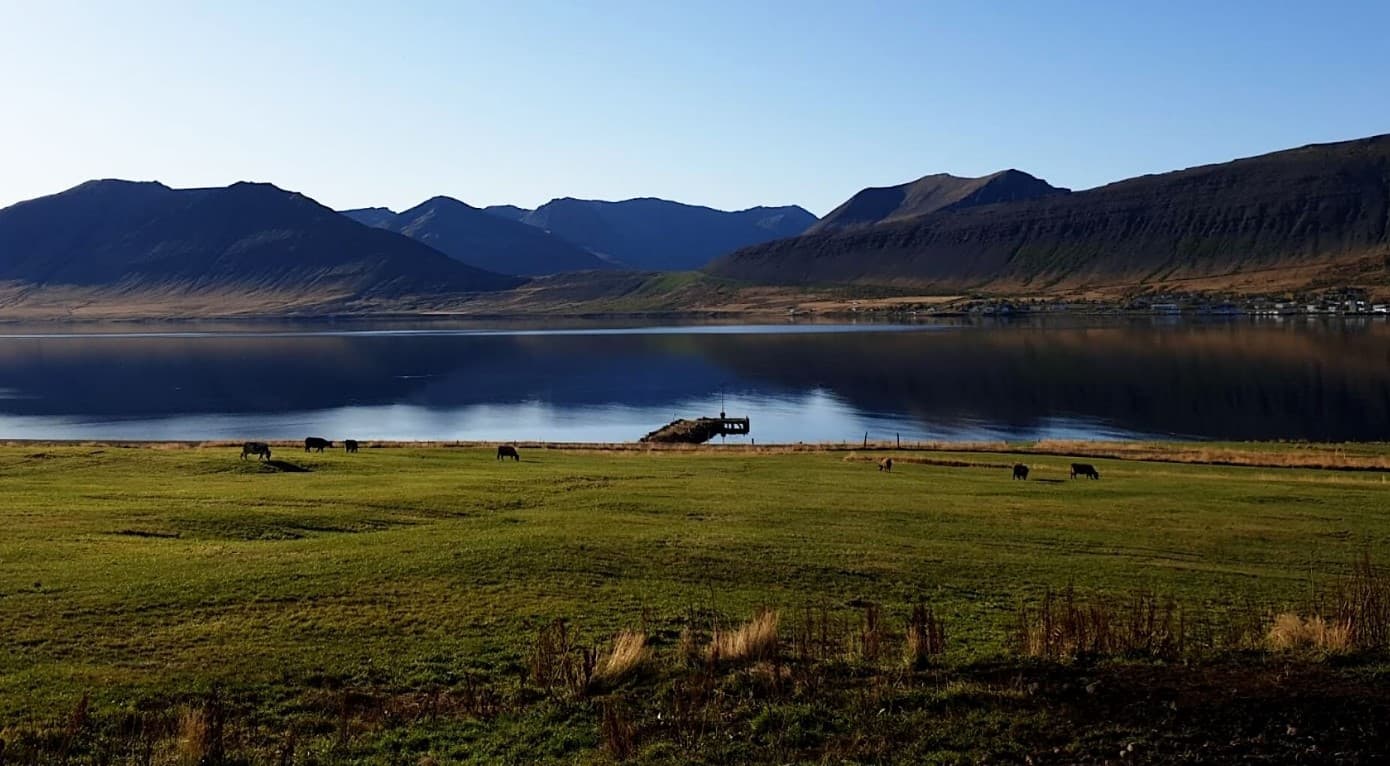 Dynjandi Waterfall & Farm Tour from Isafjordur Port - photo 5