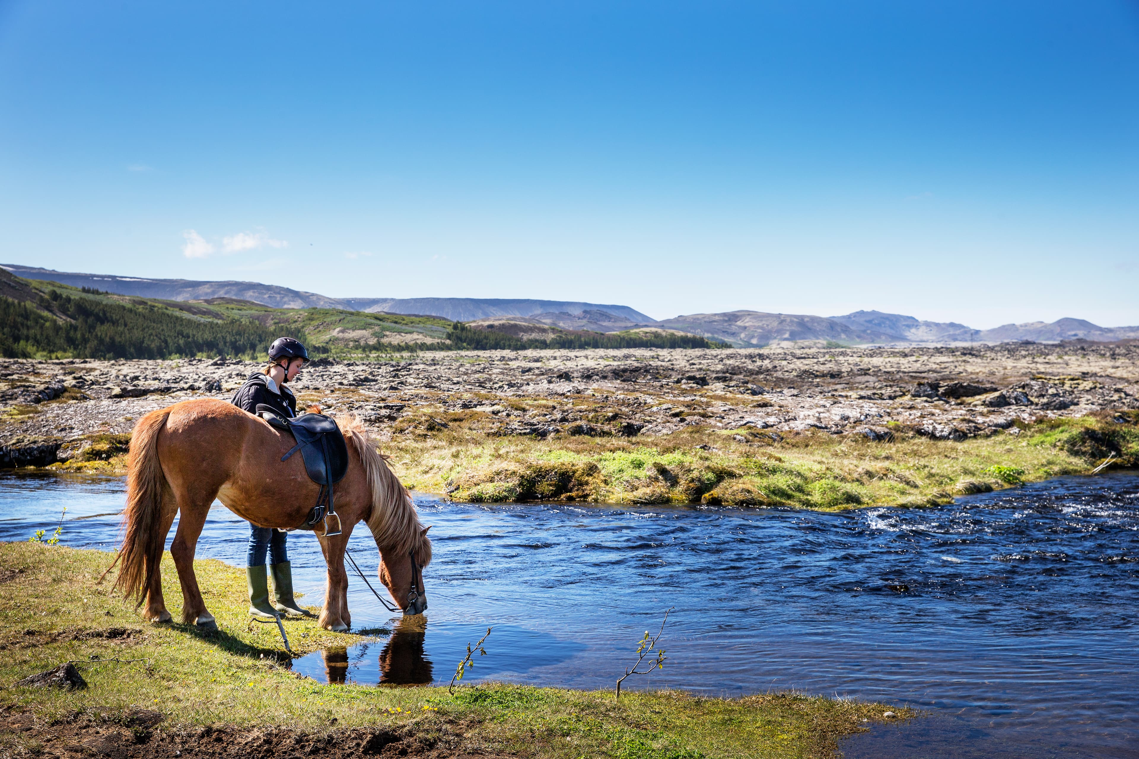 Lava Tour - Horseback Riding through the Lava Fields - photo 7