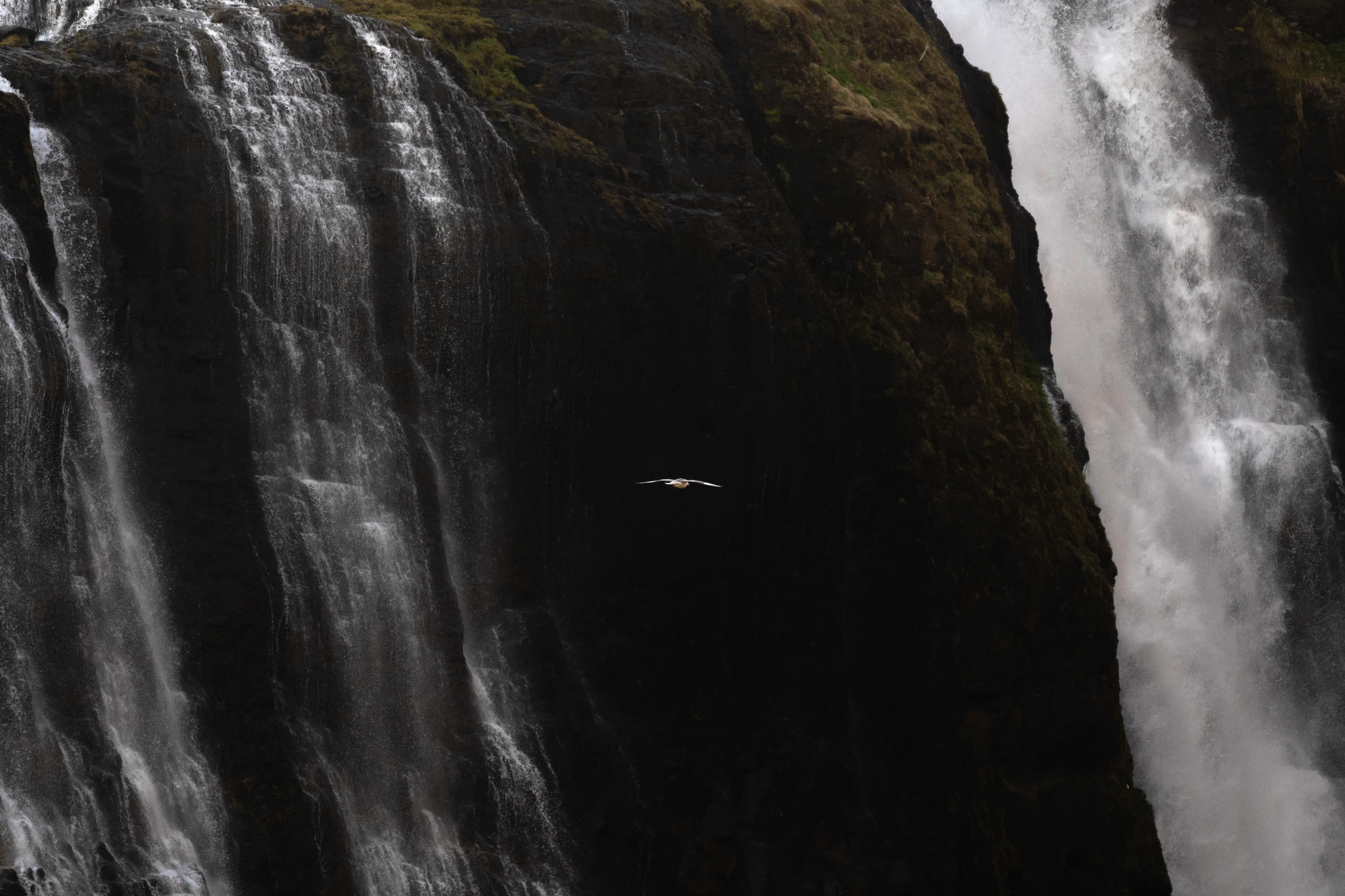 Private Hiking Tour to Glymur Waterfall: SuperJeep transfer - photo 5