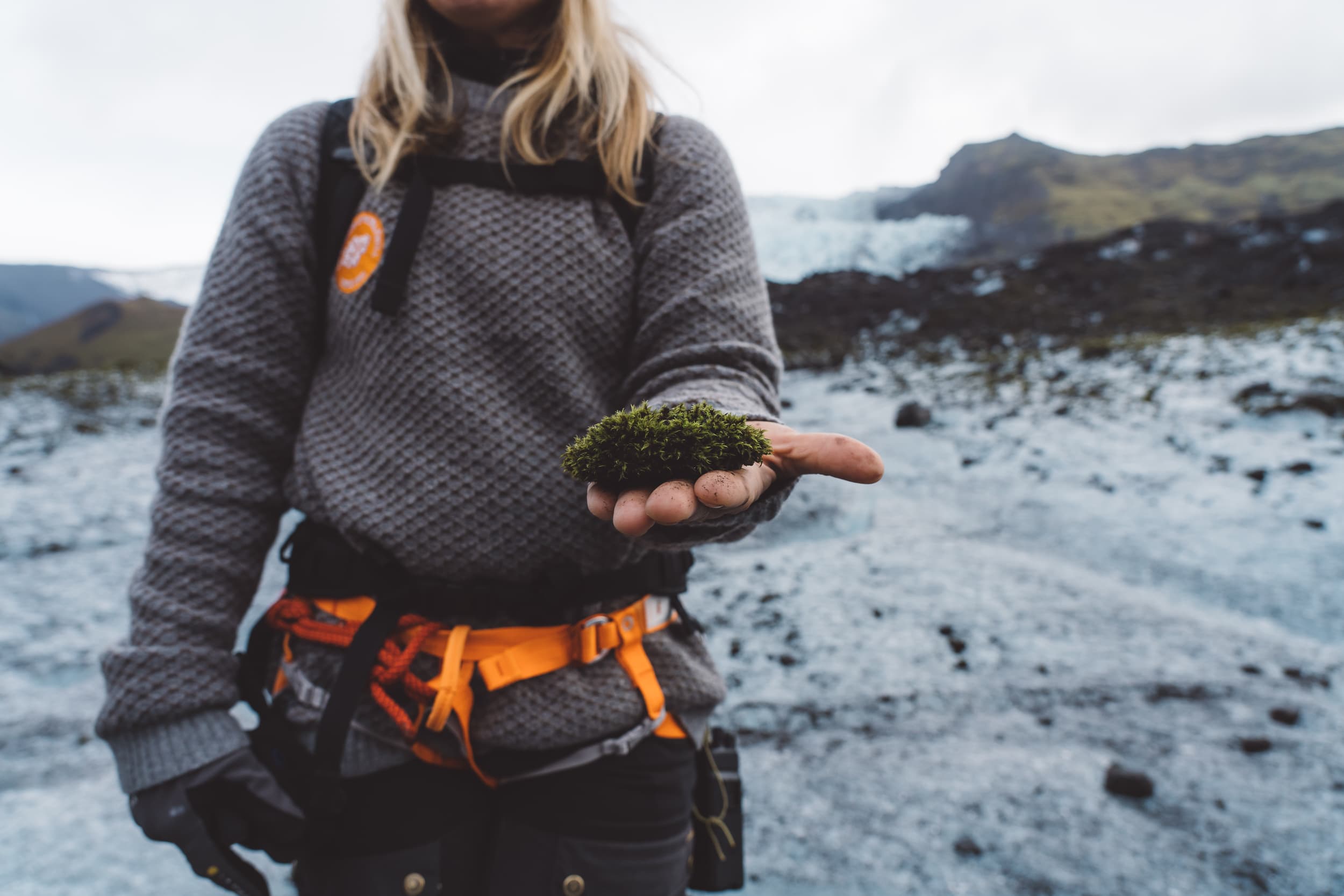 Glacier Discovery