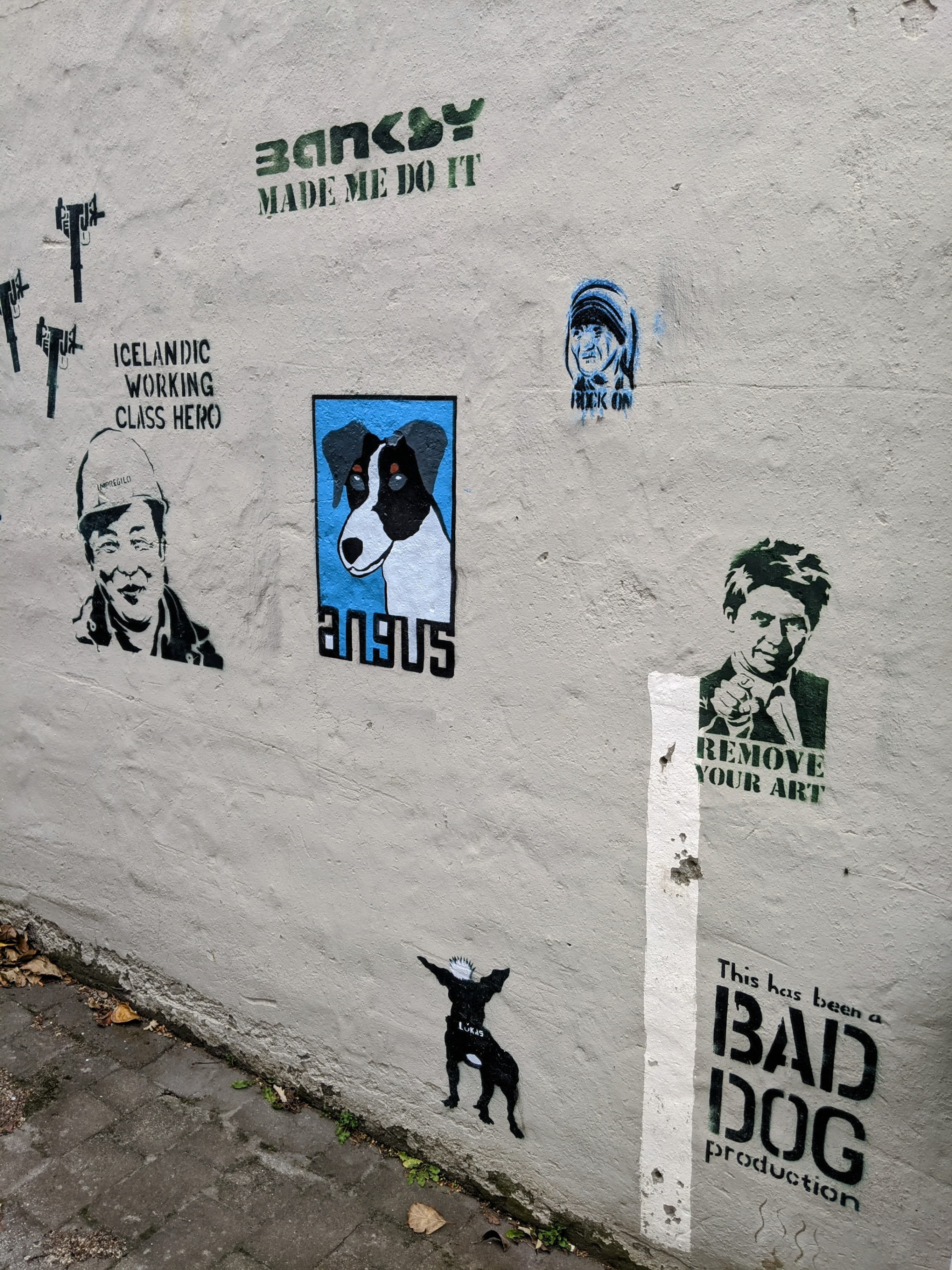 Private Reykjavik Street Art & Photo Friendly Walking Tour - photo 8