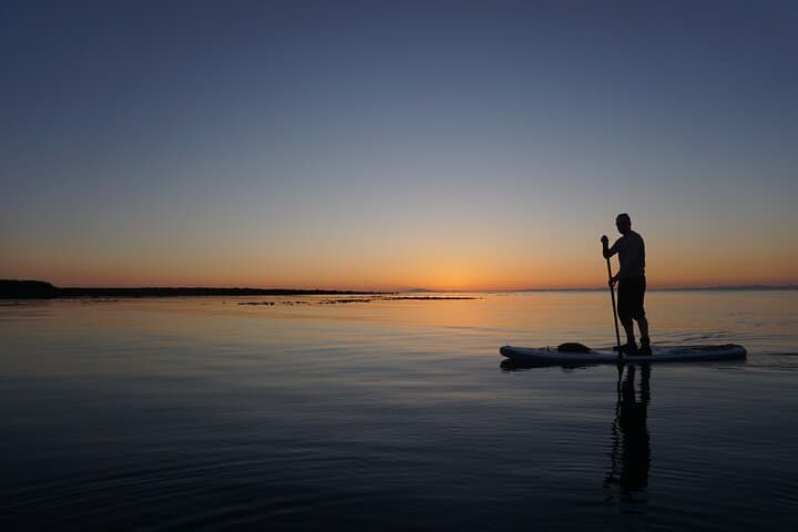 PRIVATE: Reykjavik Sunset & Paddle Board Tour - with photos - photo 8